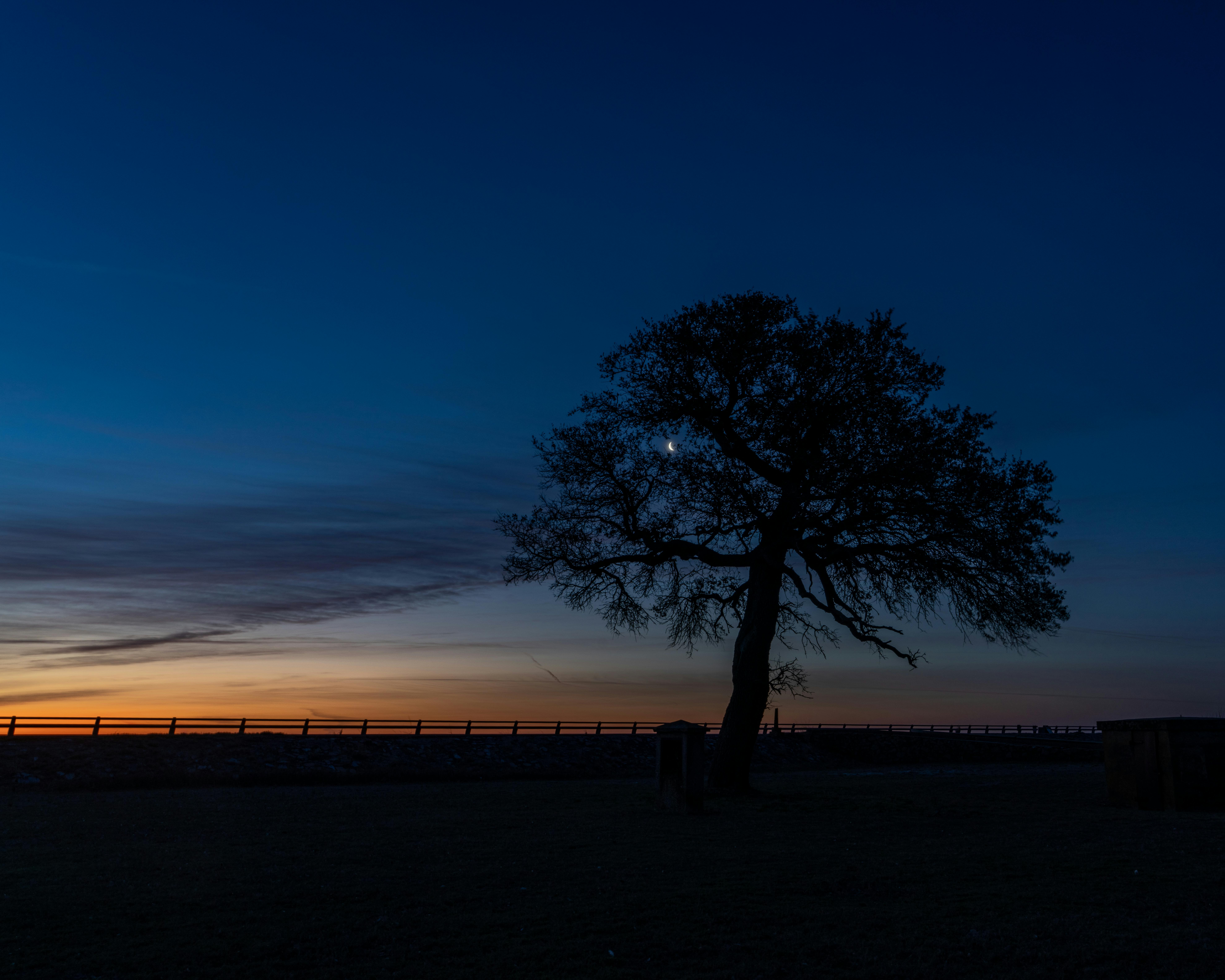 De franc Una escena serena del crepuscle amb la silueta d'un arbre contra un cel degradat i una lluna creixent visible. Foto d'estoc