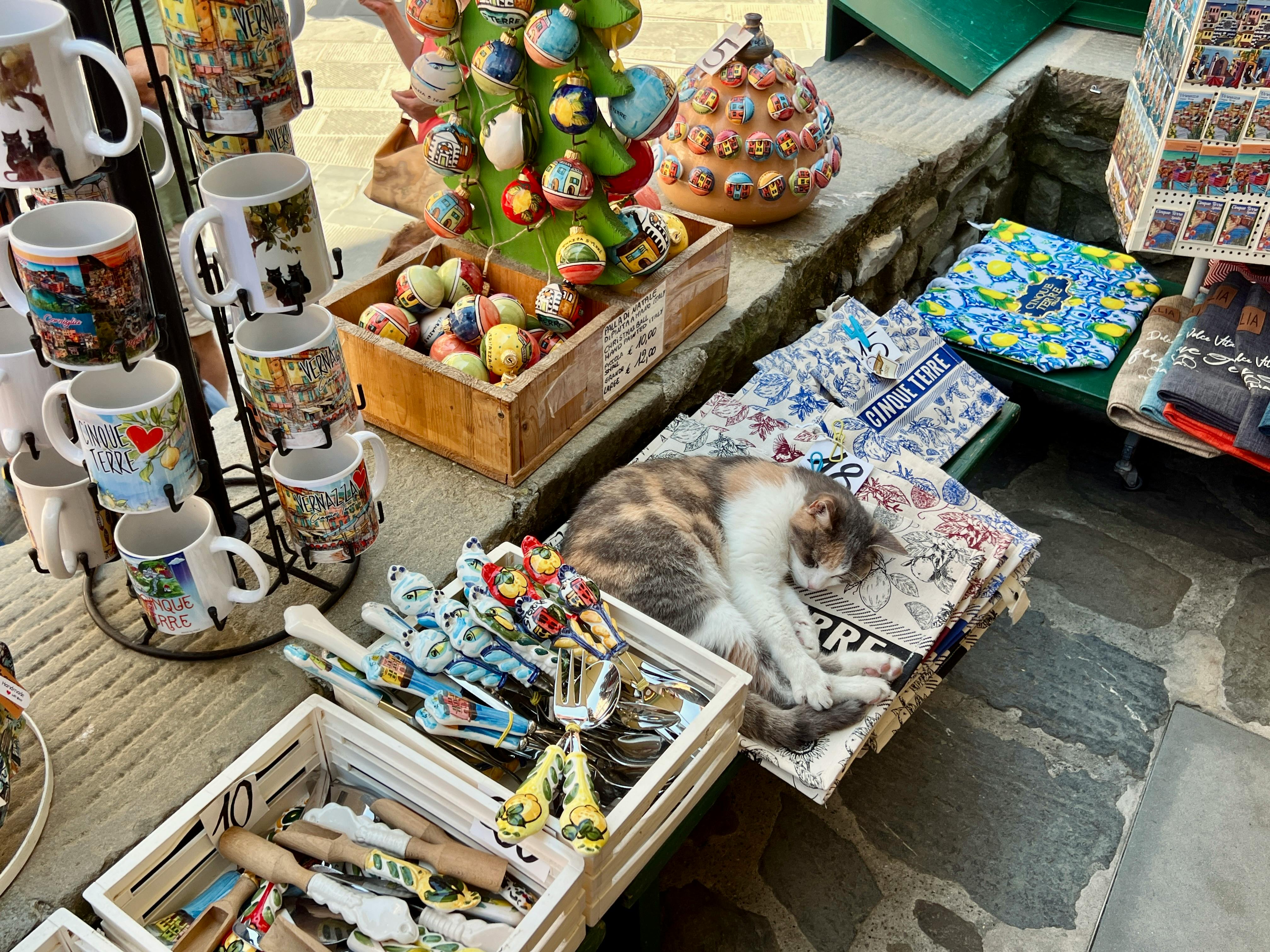 Gratuit Photos gratuites de affichage artistique, artisan, artisanat local Photos