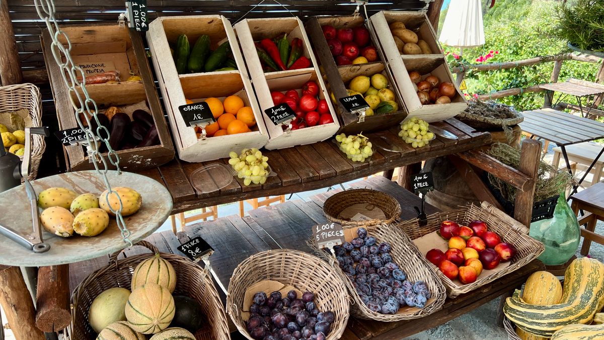 Les tendances de la nutrition durable en 2026