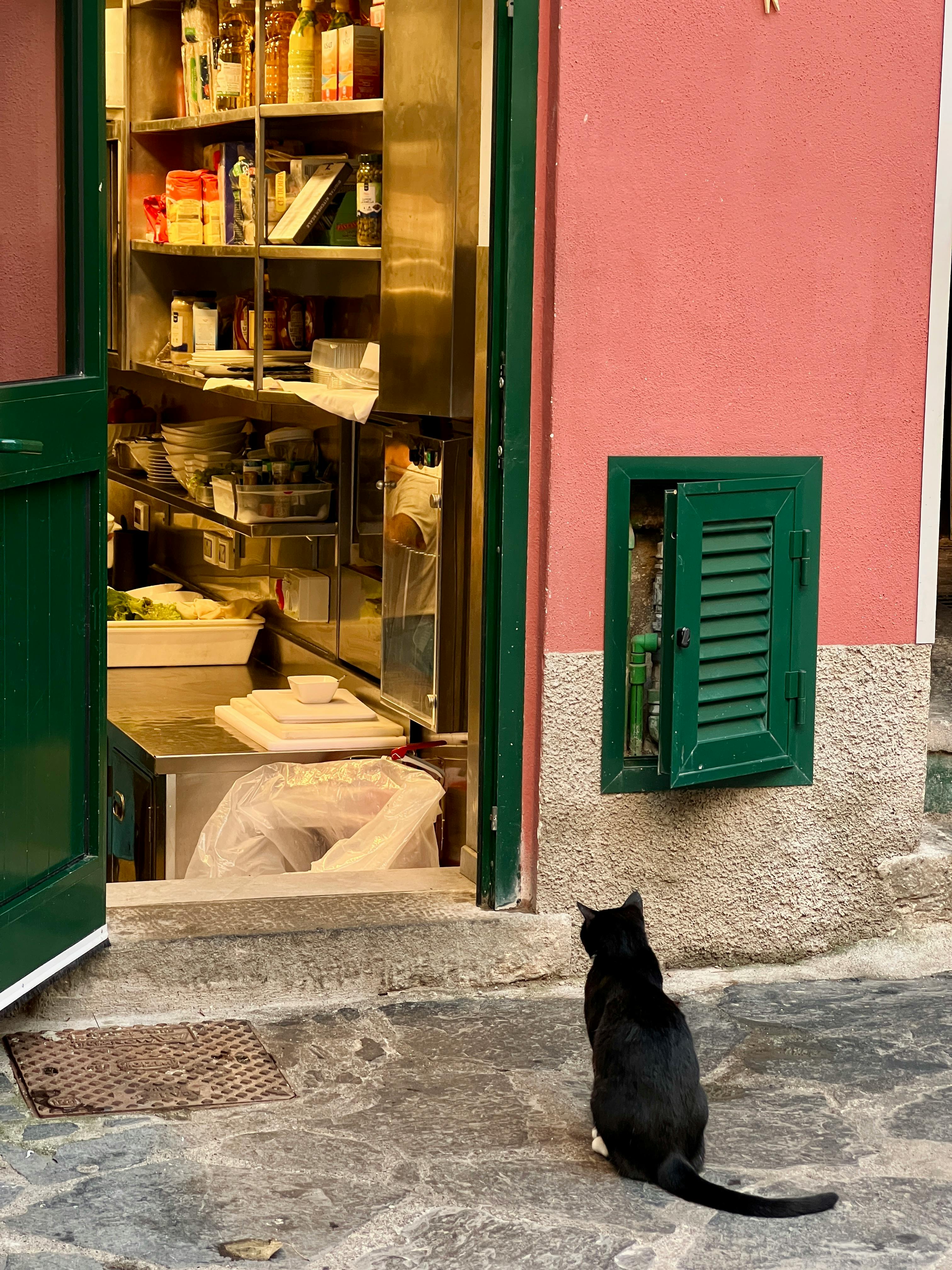 Gratuit Un chat noir observe une cuisine animée à travers une porte ouverte, offrant un aperçu de la vie italienne. Photos