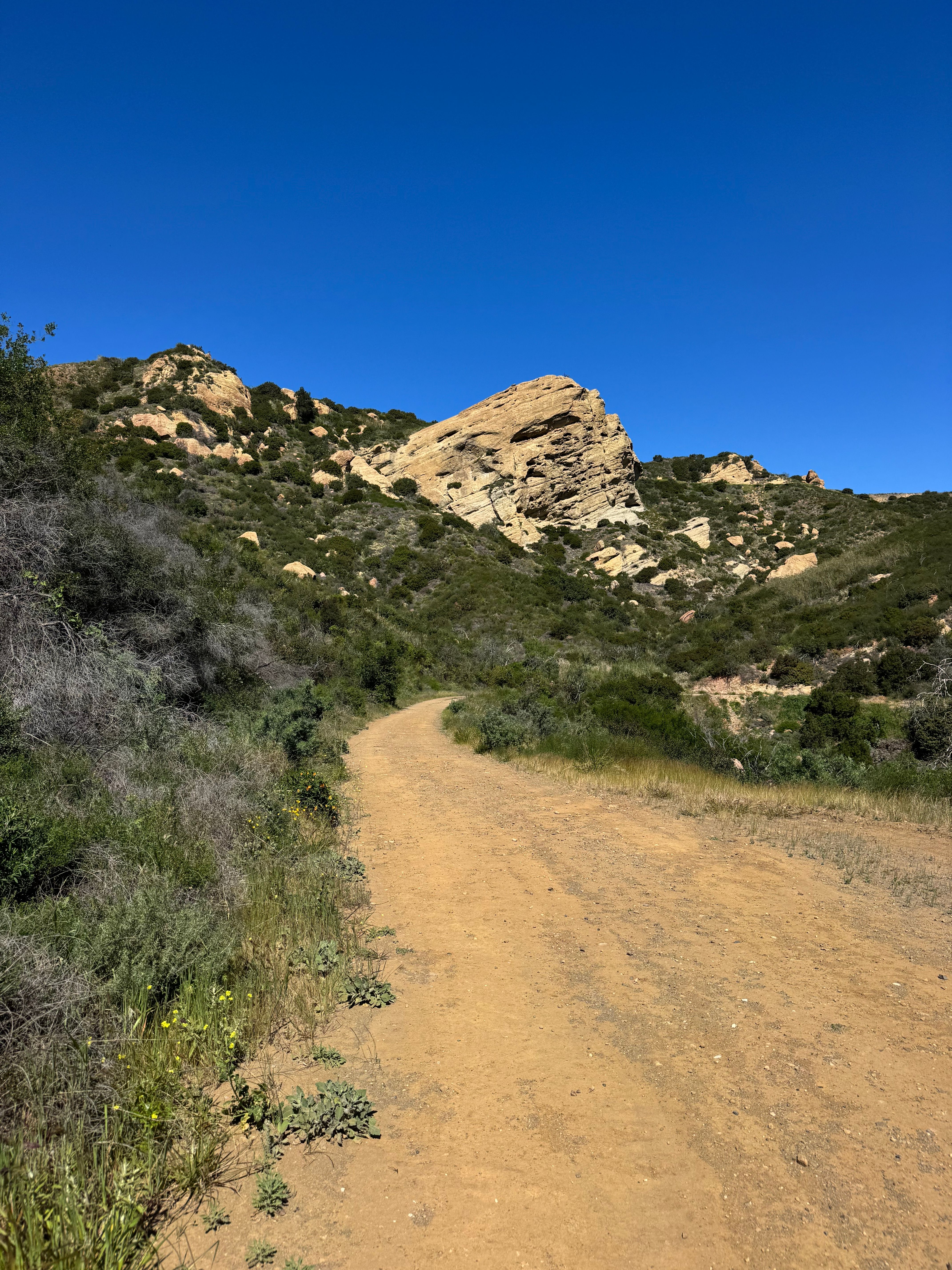 Scenic Trail in Malibu's Santa Monica Mountains · Free Stock Photo
