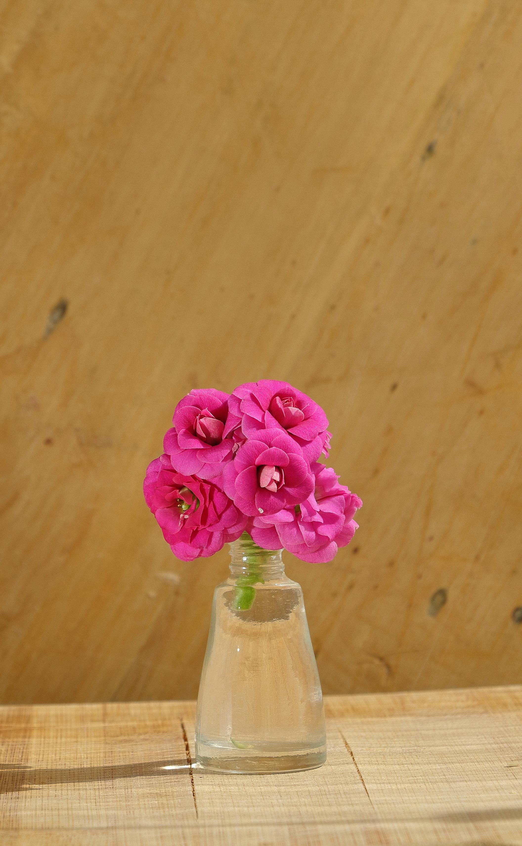 grátis Um arranjo minimalista de rosas cor-de-rosa num vaso de vidro sobre uma mesa de madeira. Foto profissional