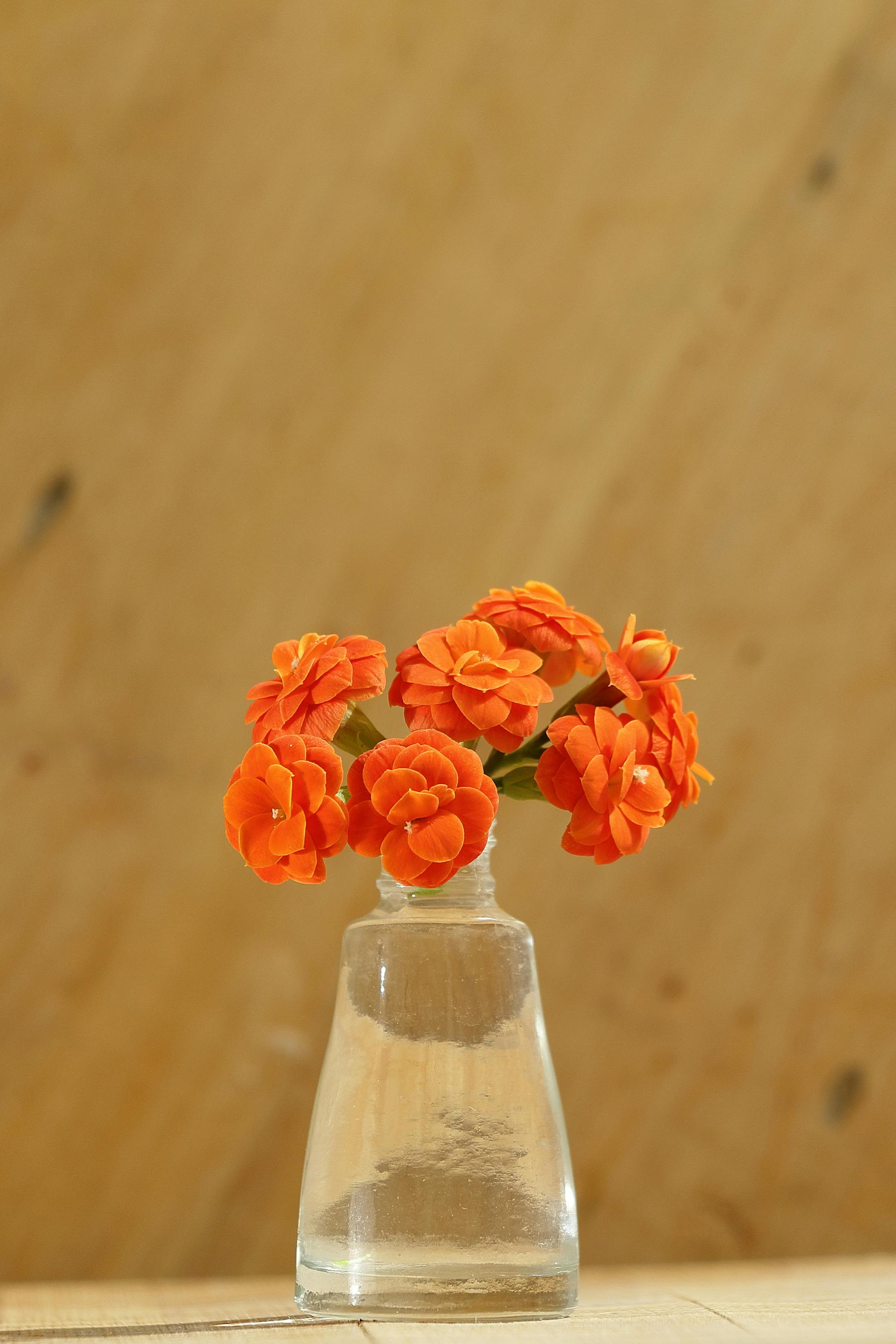 무료 가정의 미학, 간단한 장식, 꽃 미학의 무료 스톡 사진