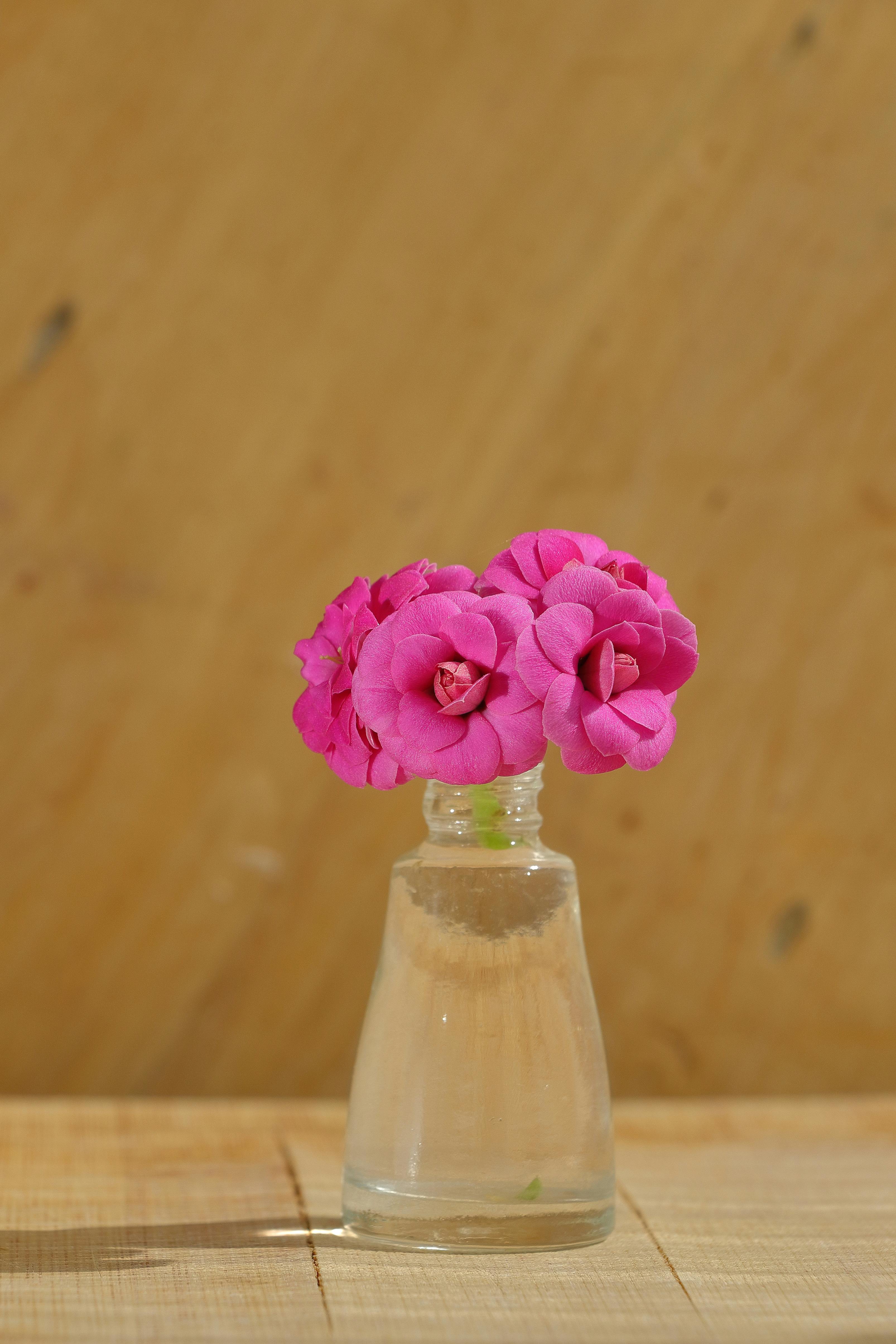 Δωρεάν Κομψά ροζ τριαντάφυλλα τοποθετημένα σε ένα διαφανές γυάλινο βάζο σε μια ξύλινη επιφάνεια. Φωτογραφία από στοκ φωτογραφιών