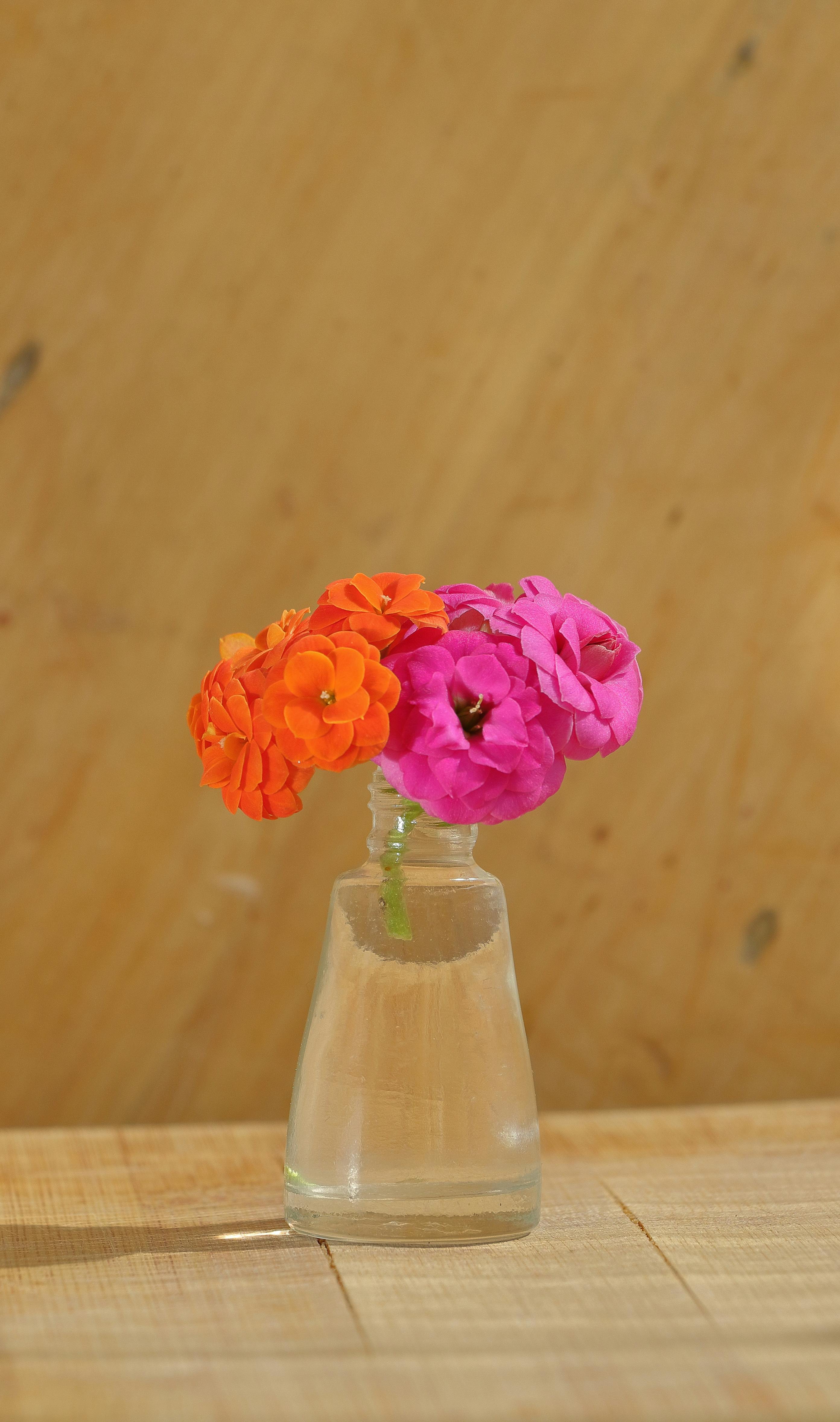 Gratuit Zinnii vibrante în portocaliu și roz, aranjate într-o vază de sticlă, pe o masă de lemn. Fotografie de stoc