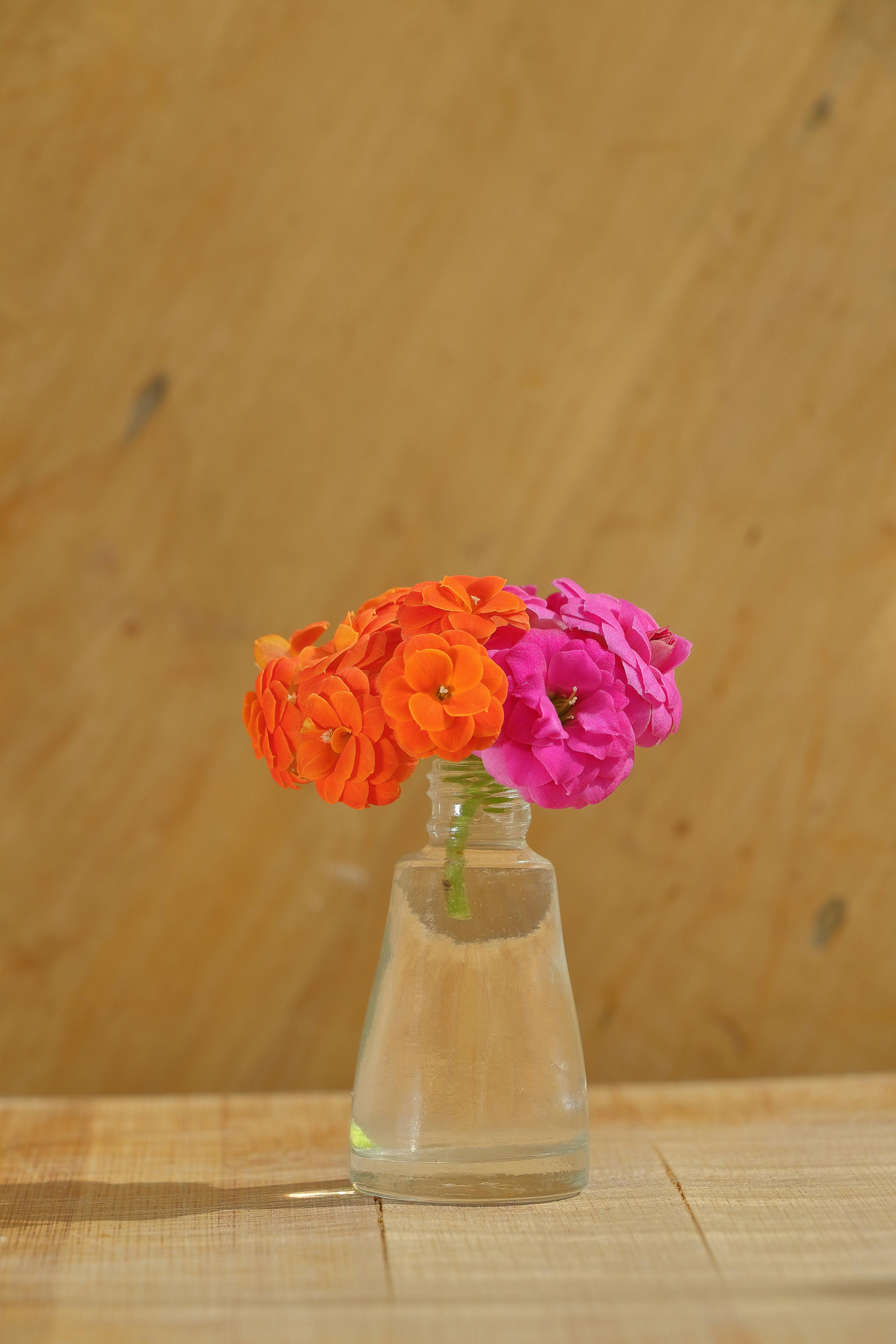 Gratuit Des fleurs orange vif et roses dans un vase transparent, sur fond de bois, offrent une source d'inspiration déco pleine de dynamisme. Photos