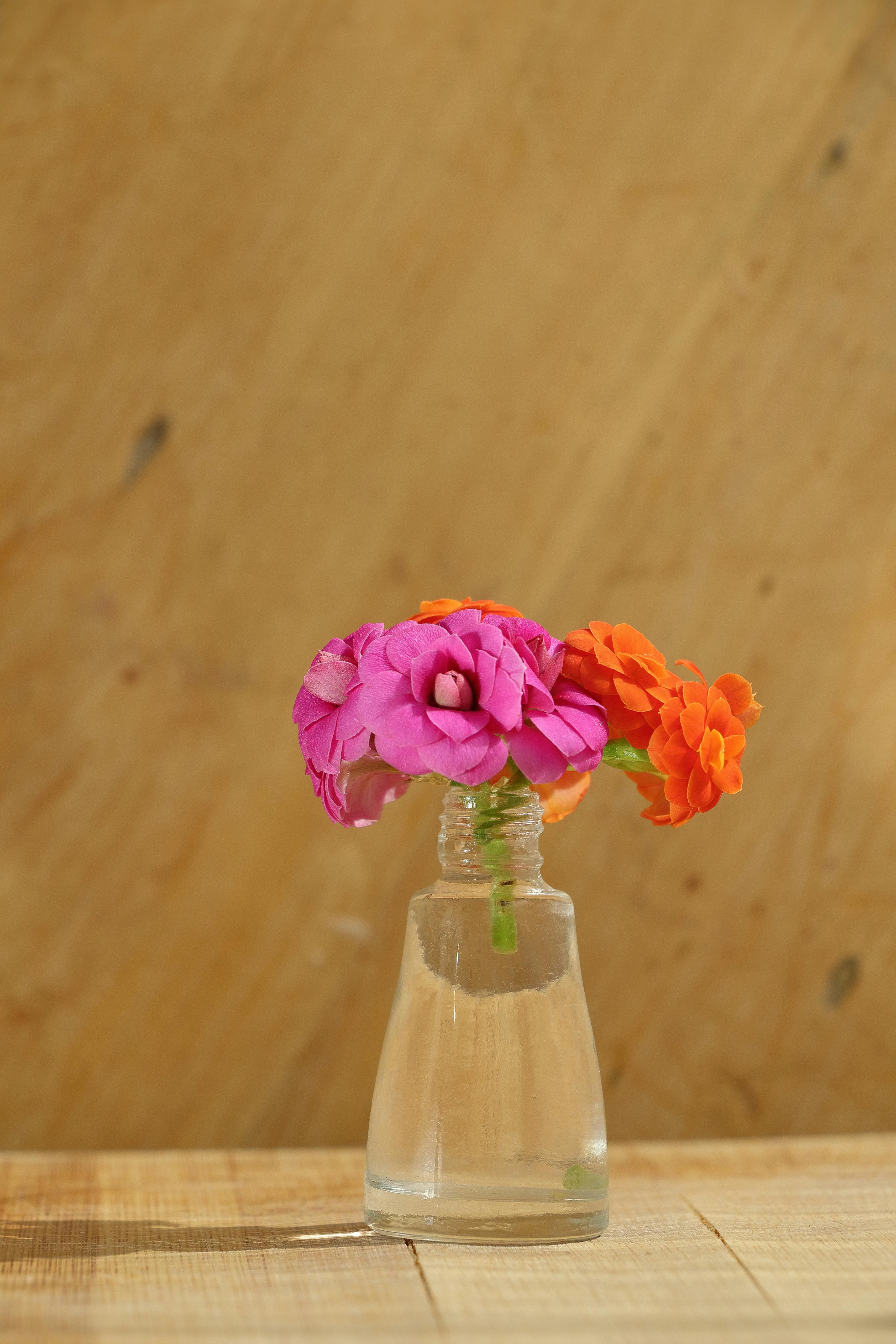 Δωρεάν Πολύχρωμα ροζ και πορτοκαλί λουλούδια σε γυάλινο βάζο σε ξύλινο φόντο, δημιουργώντας ένα ζεστό και φυσικό περιβάλλον. Φωτογραφία από στοκ φωτογραφιών