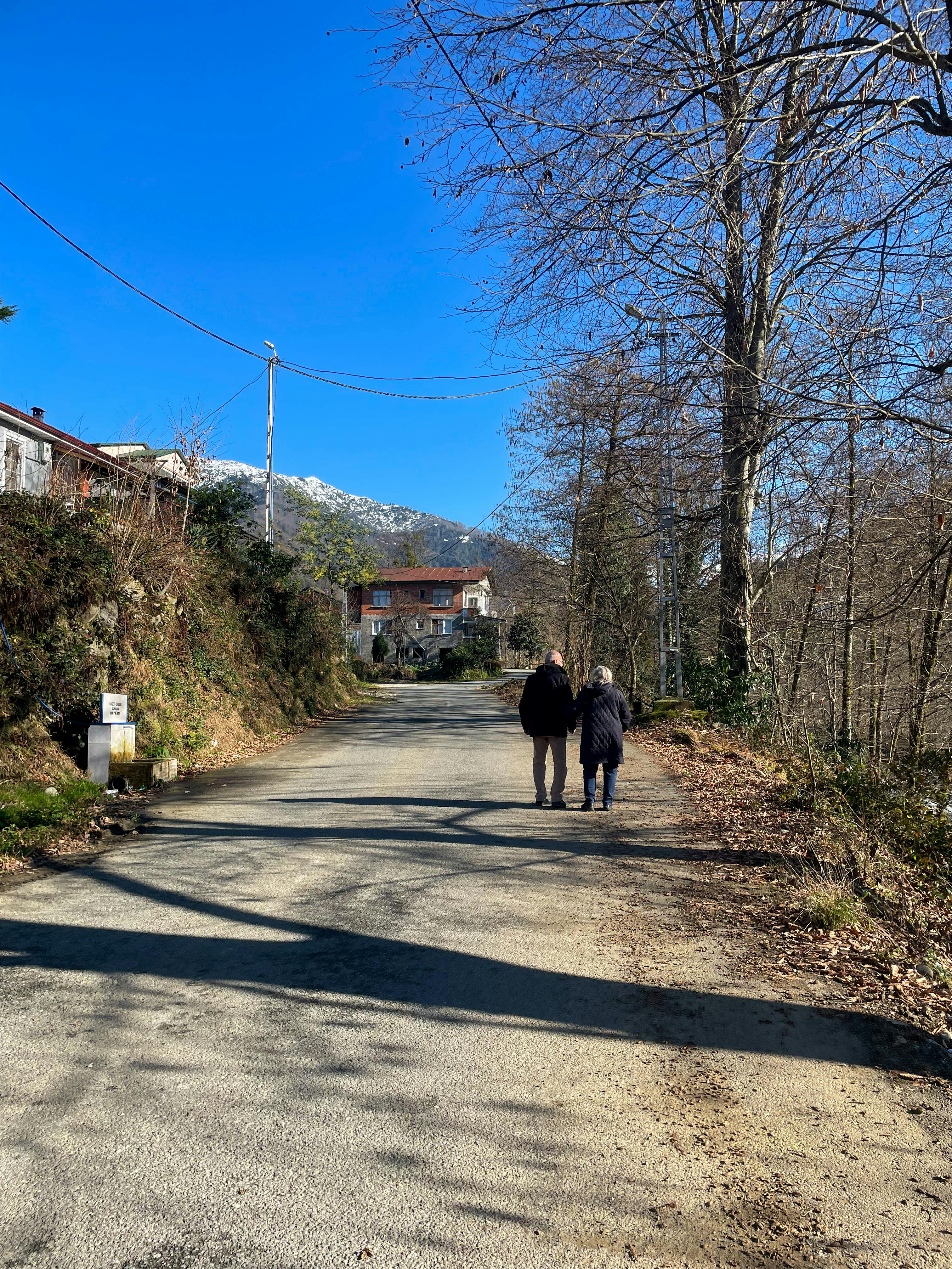 免费 宁静的乡村景色，一对老夫妇沿着绿树环绕的乡间小路散步。 素材图片