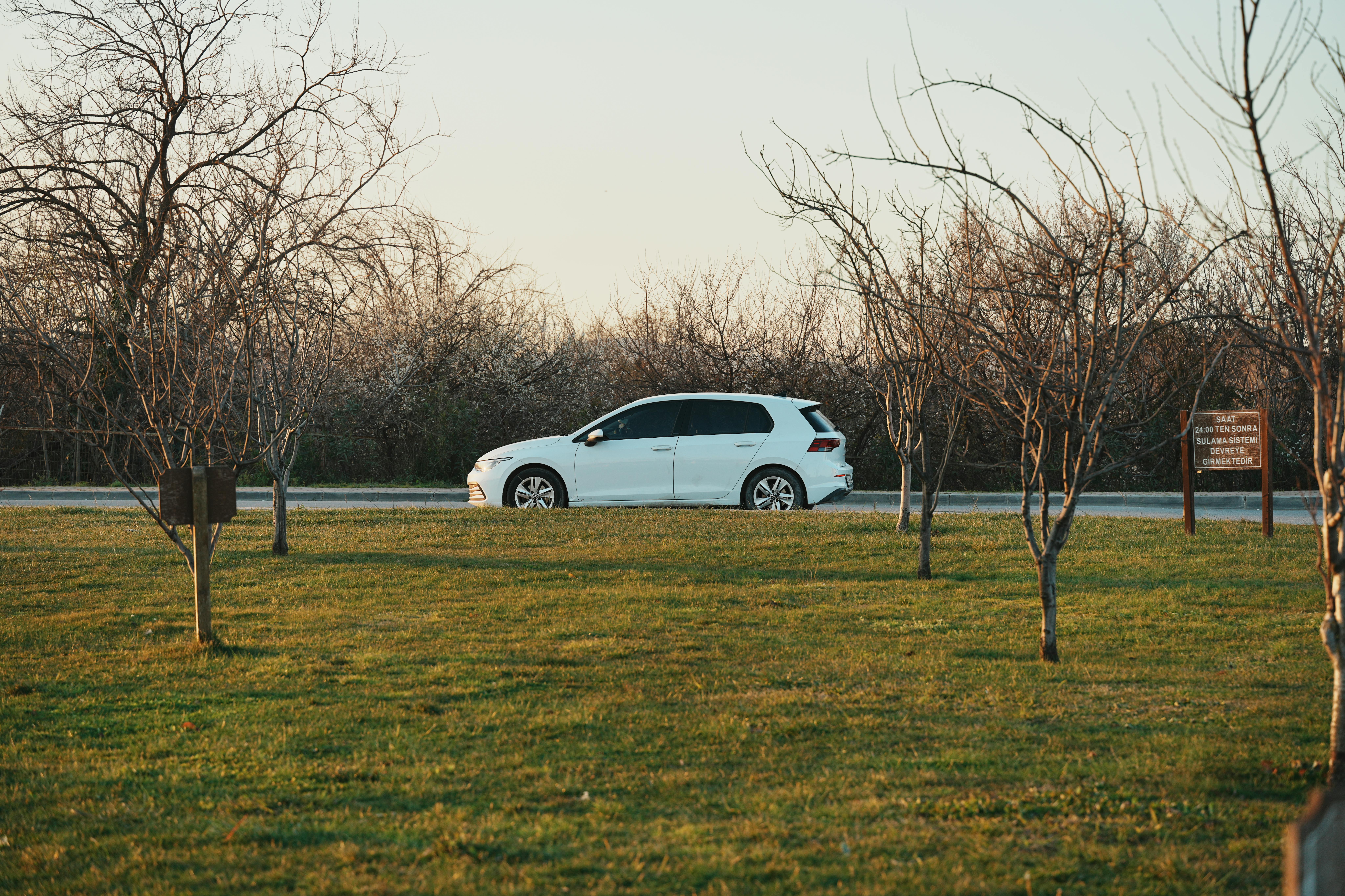 무료 잎이 떨어진 나무들과 풀밭 옆 도로에 흰색 차 한 대가 주차되어 있어 이른 봄임을 알 수 있다. 스톡 사진