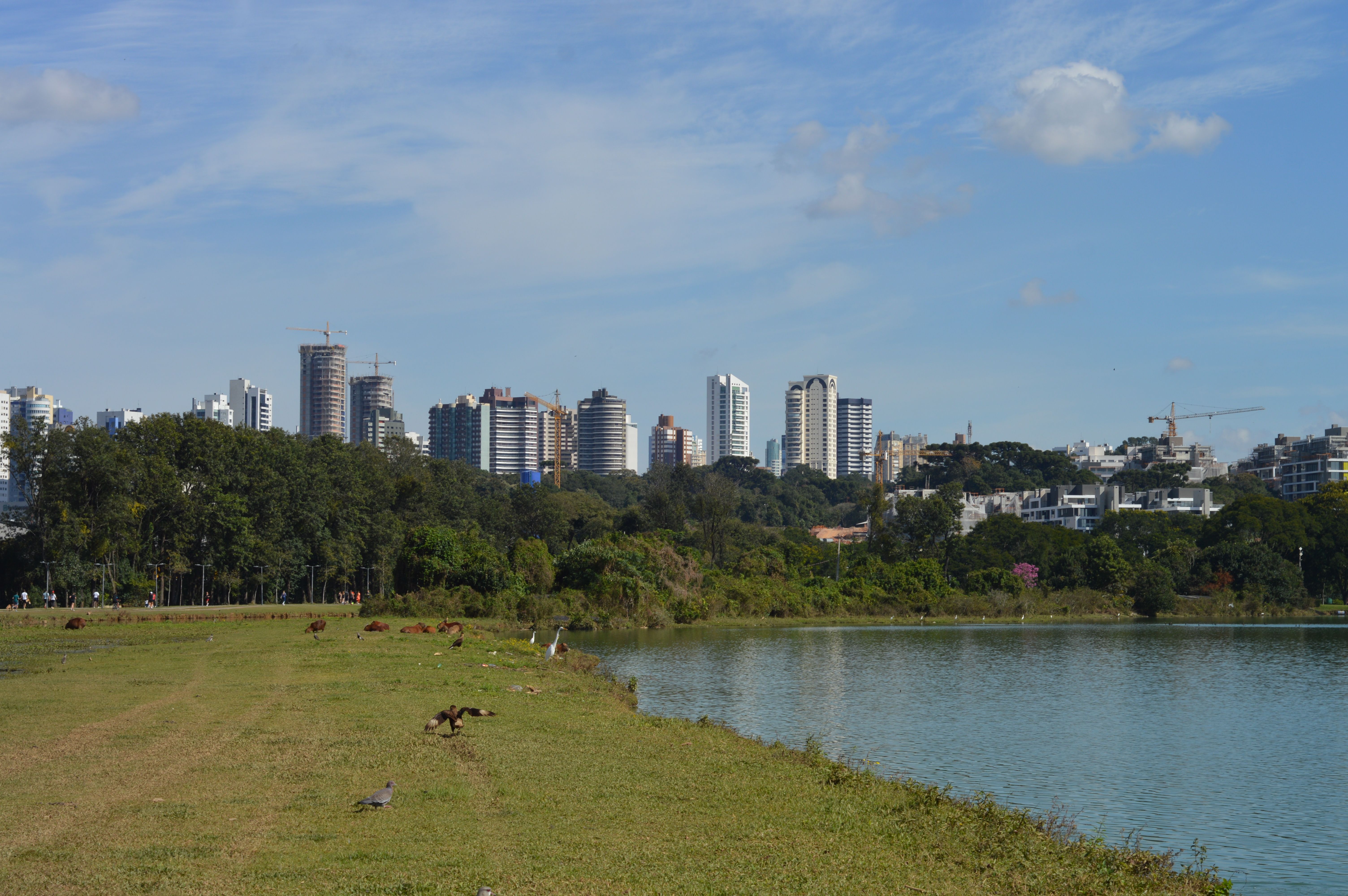 Landmarks in Curitiba