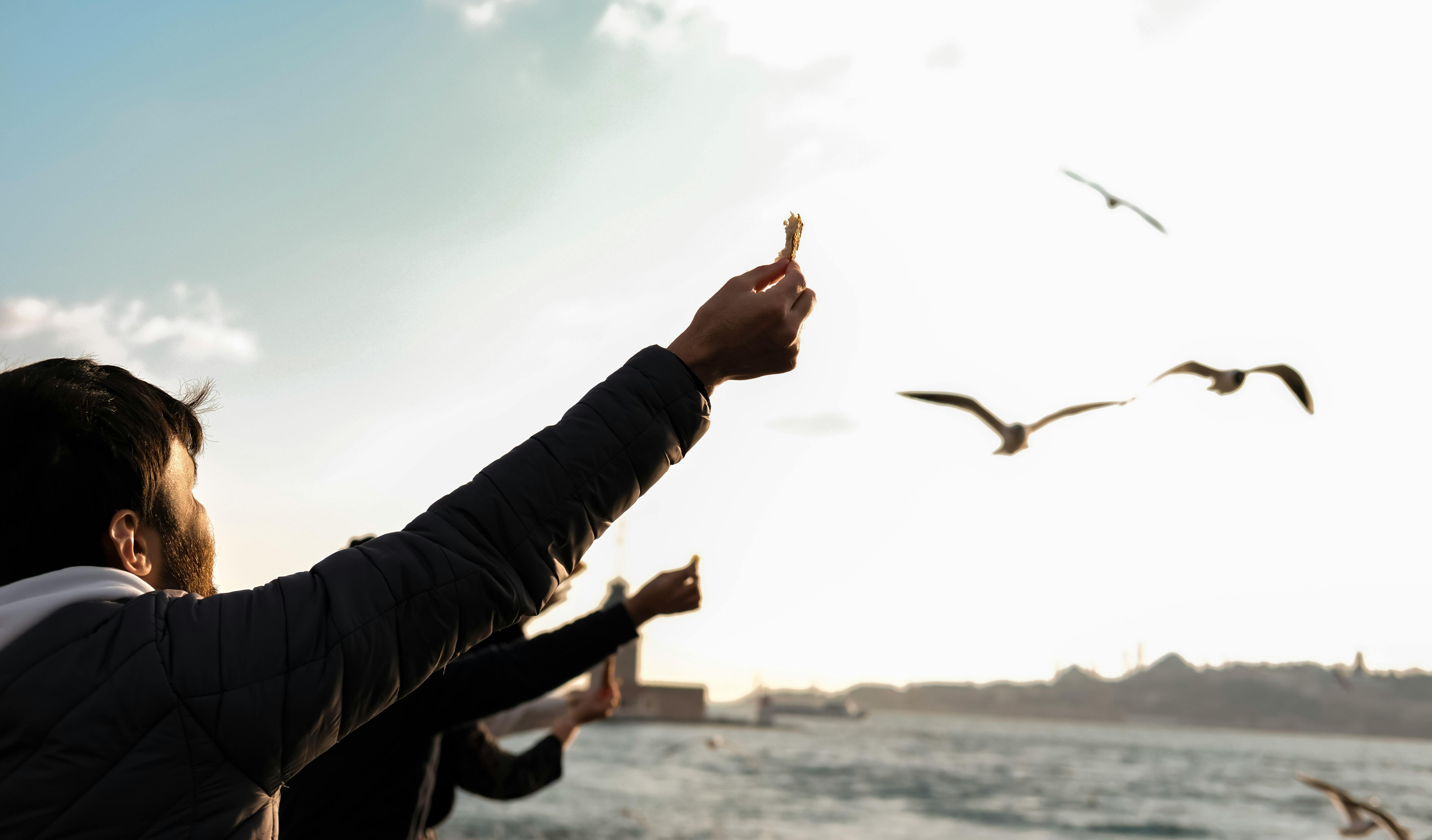 grátis Foto profissional grátis de à beira-mar, ação, água Foto profissional