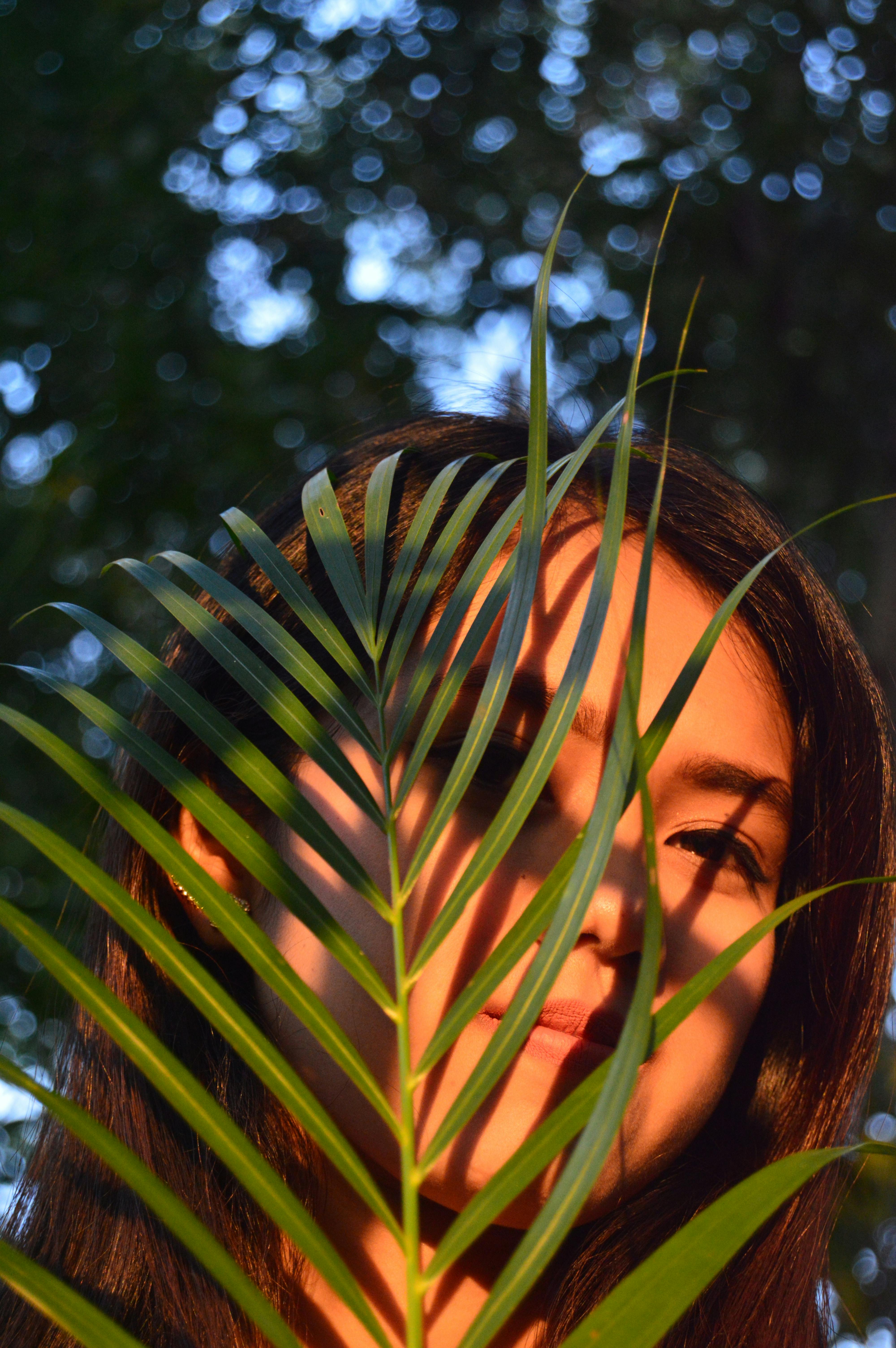 Kostenlos Eine junge Frau, teilweise von Blättern verdeckt, im warmen Sonnenlicht einer friedlichen Naturkulisse. Stock-Foto