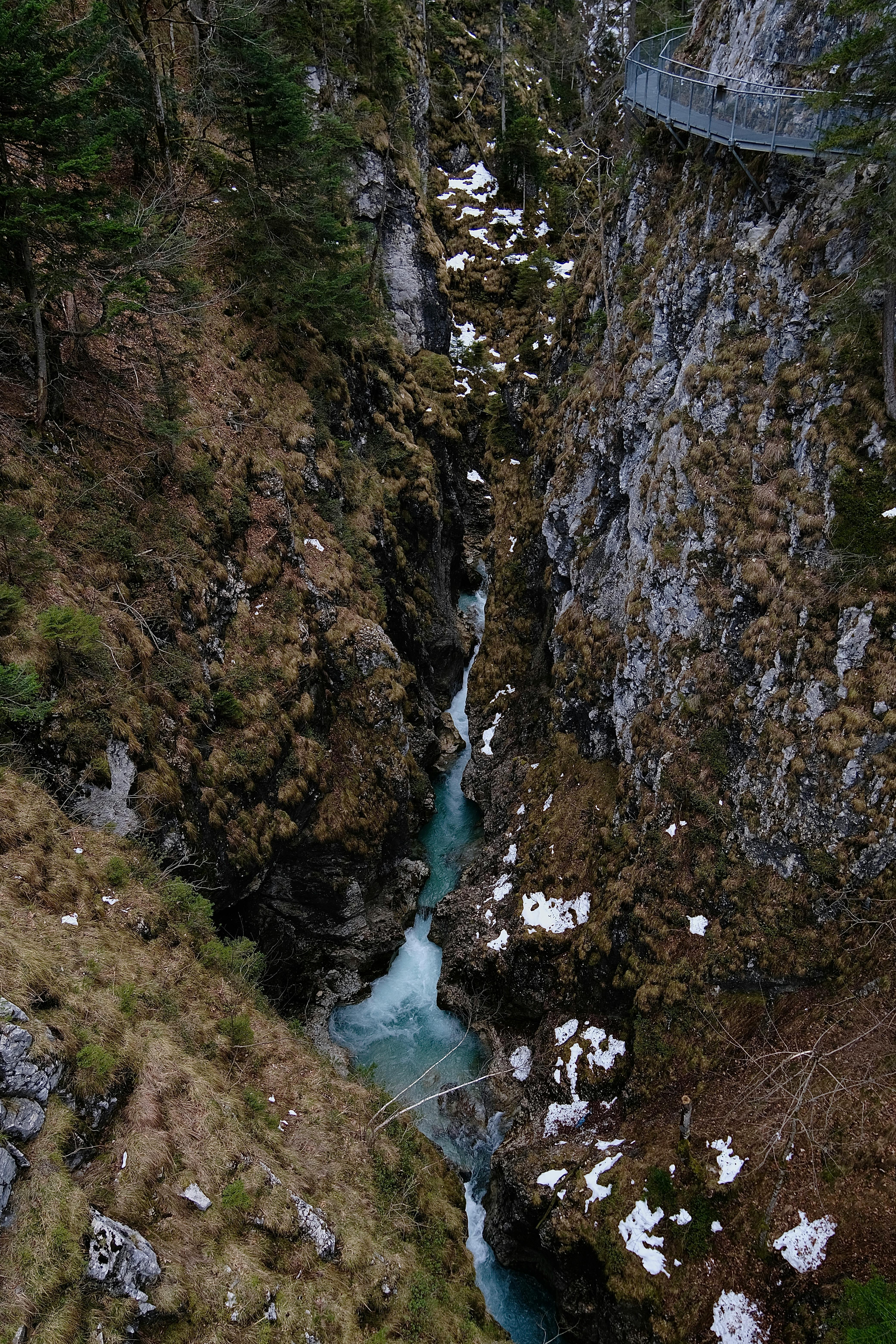 Gratuit Photos gratuites de à distance, activité de plein air, arbres Photos