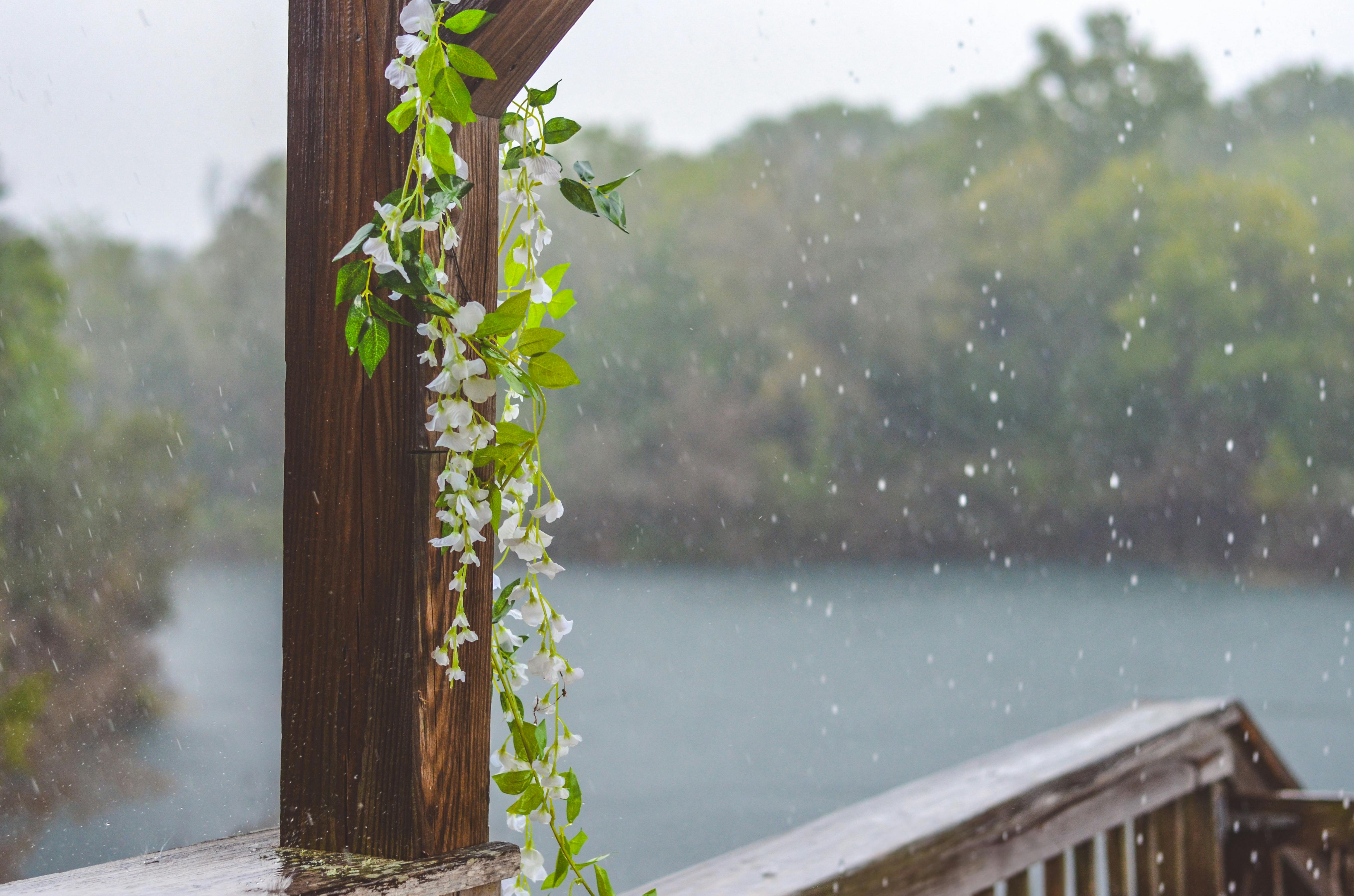 Gratuit Terrasse en bois fleurie au bord d'un lac par temps de pluie. Tranquillité naturelle capturée. Photos