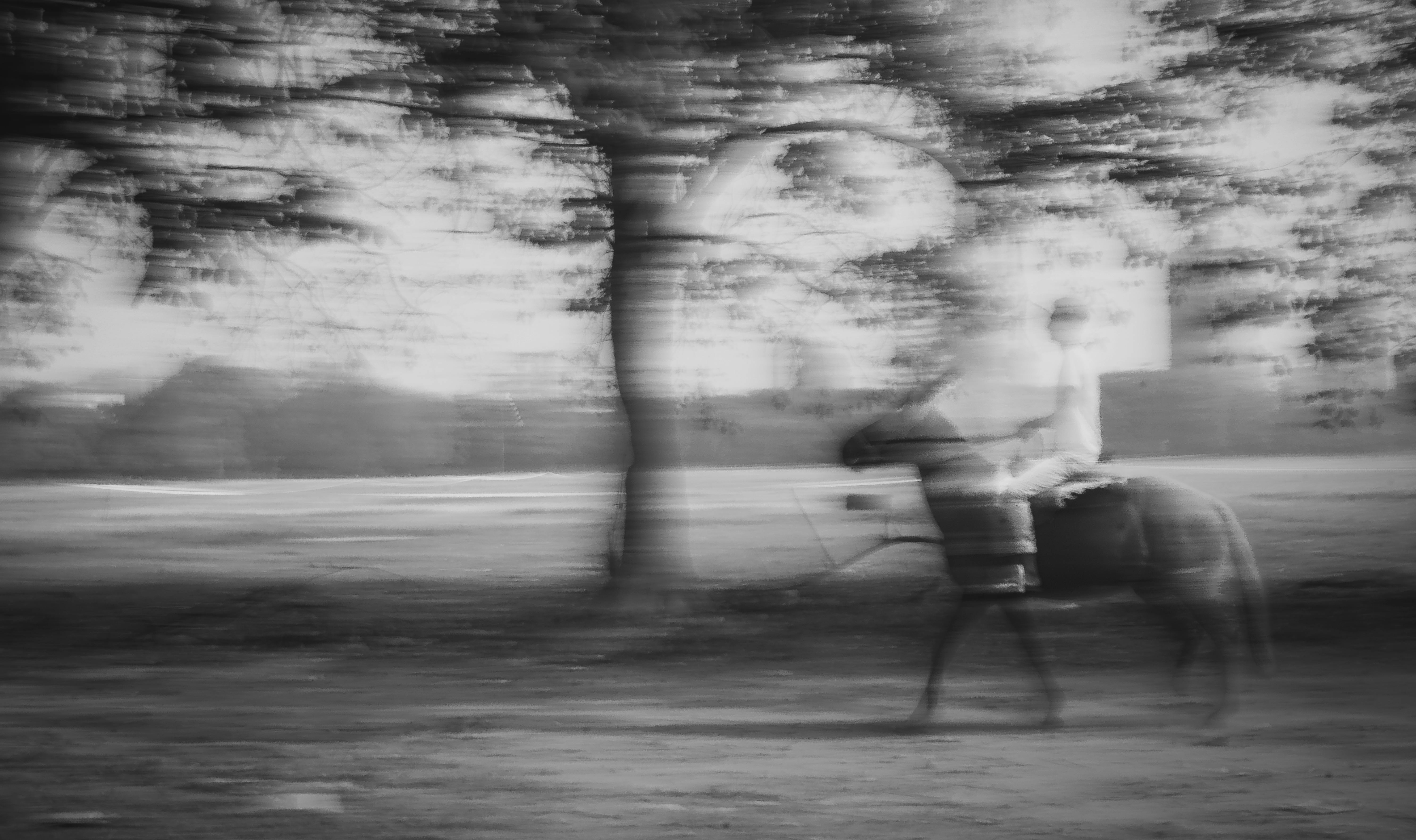 Artistic motion blur of a person riding a horse in a Kolkata park.