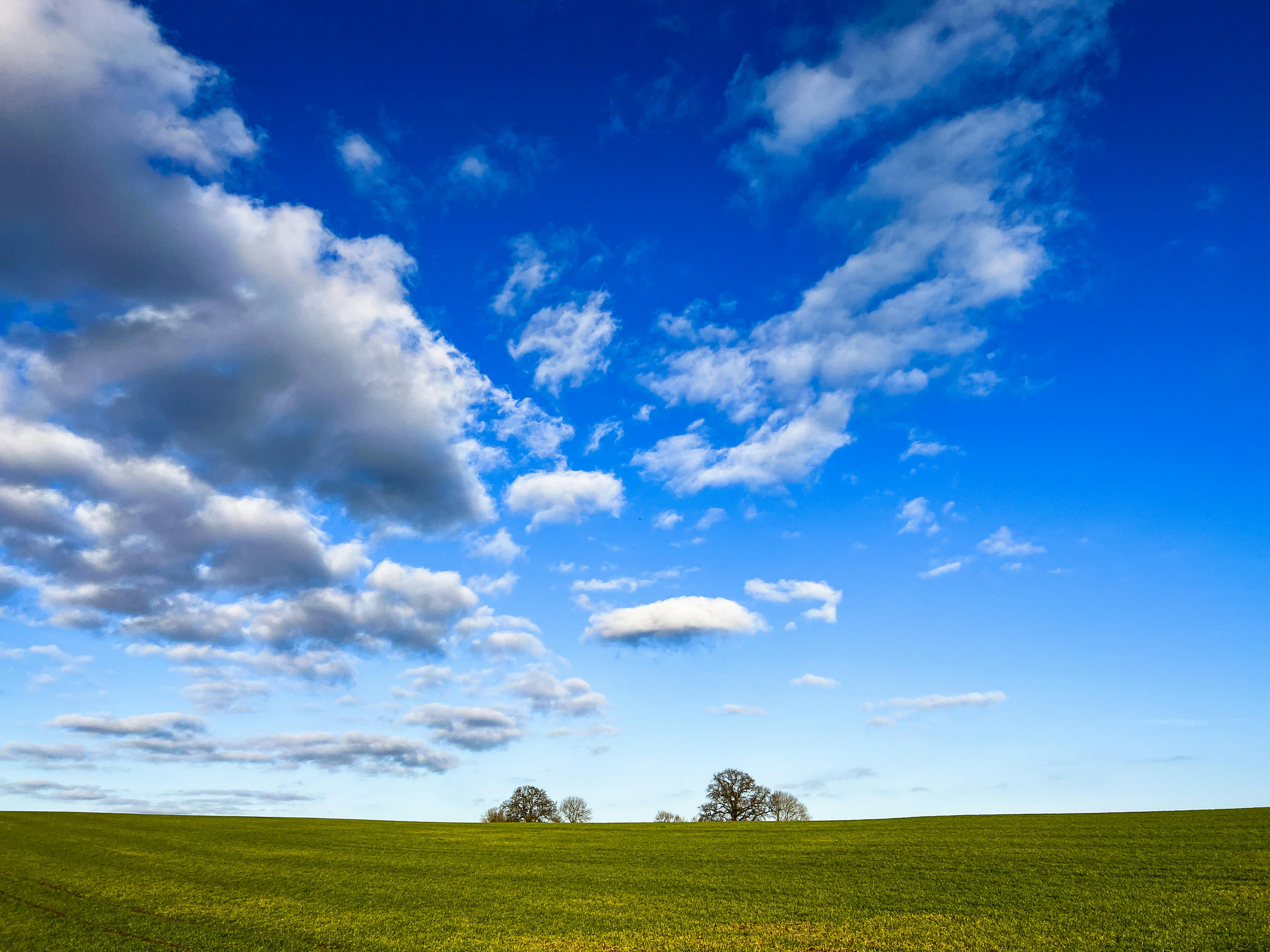 grátis Um vasto campo verde com um céu azul vibrante e nuvens dispersas, oferecendo tranquilidade e beleza natural. Foto profissional