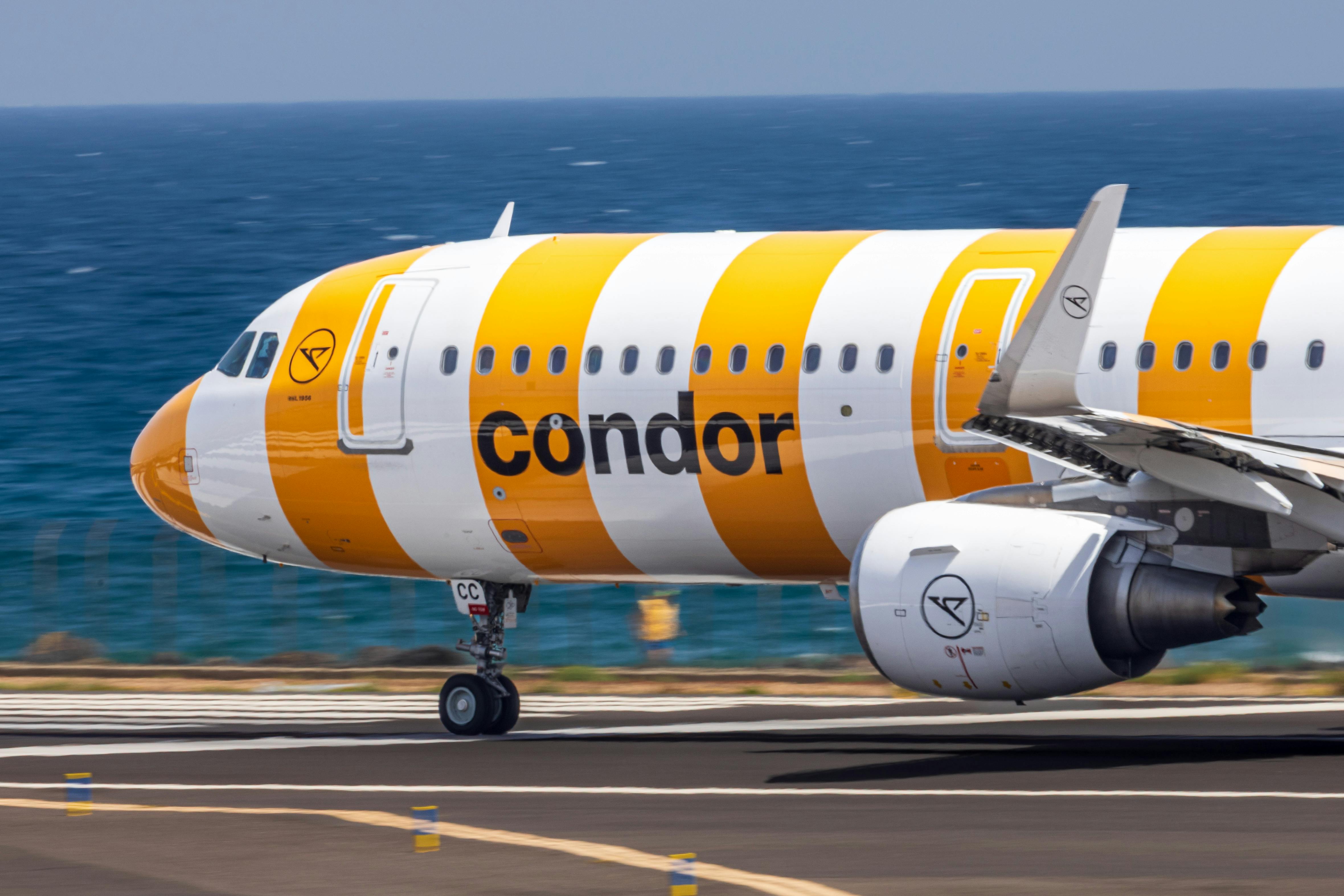 Spirit Airlines mourned by budget travelers — Photo by Dan Wright on Pexels