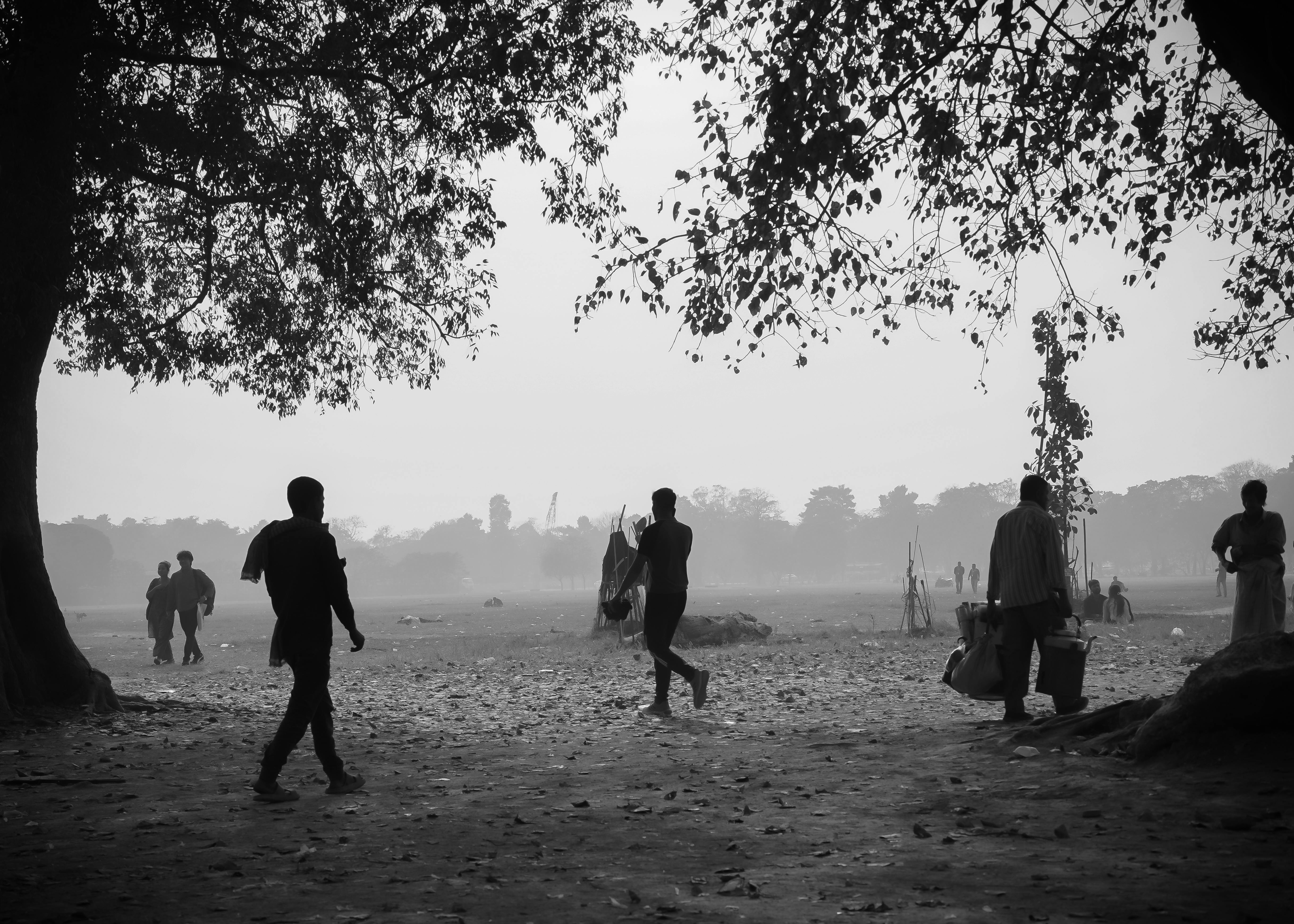 gratis Silhouetten lopen onder bomen in een mistig park, wat de serene sfeer van de vroege ochtend vastlegt. Stockfoto
