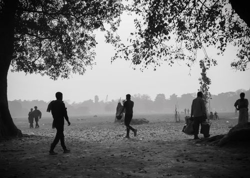 Free Silhouetted figures walk under trees in a misty park setting, capturing serene early morning ambiance. Stock Photo