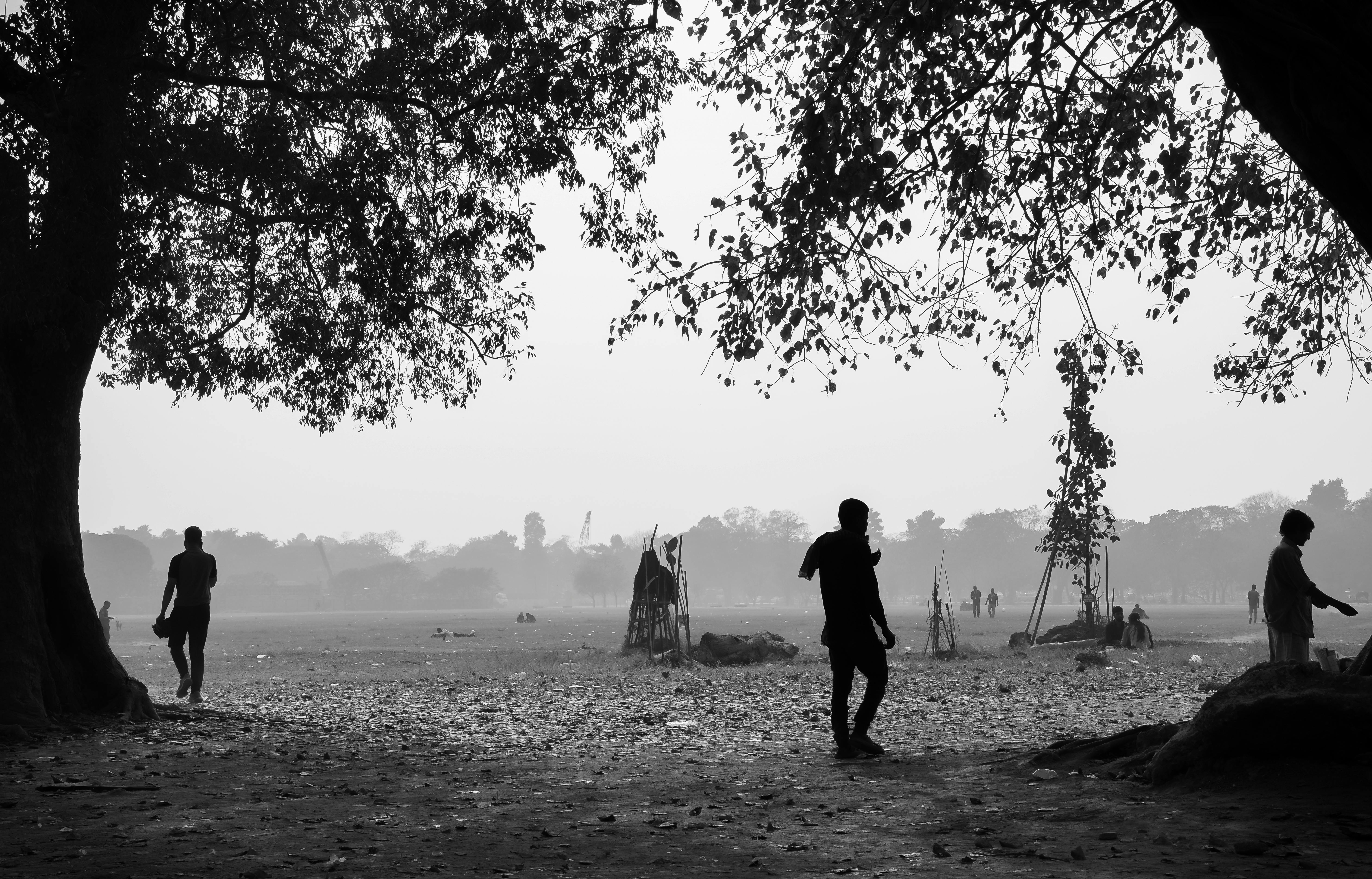 gratis Zwart-witfoto van mensen die onder bomen in een park wandelen, waardoor een sereen silhouet ontstaat. Stockfoto
