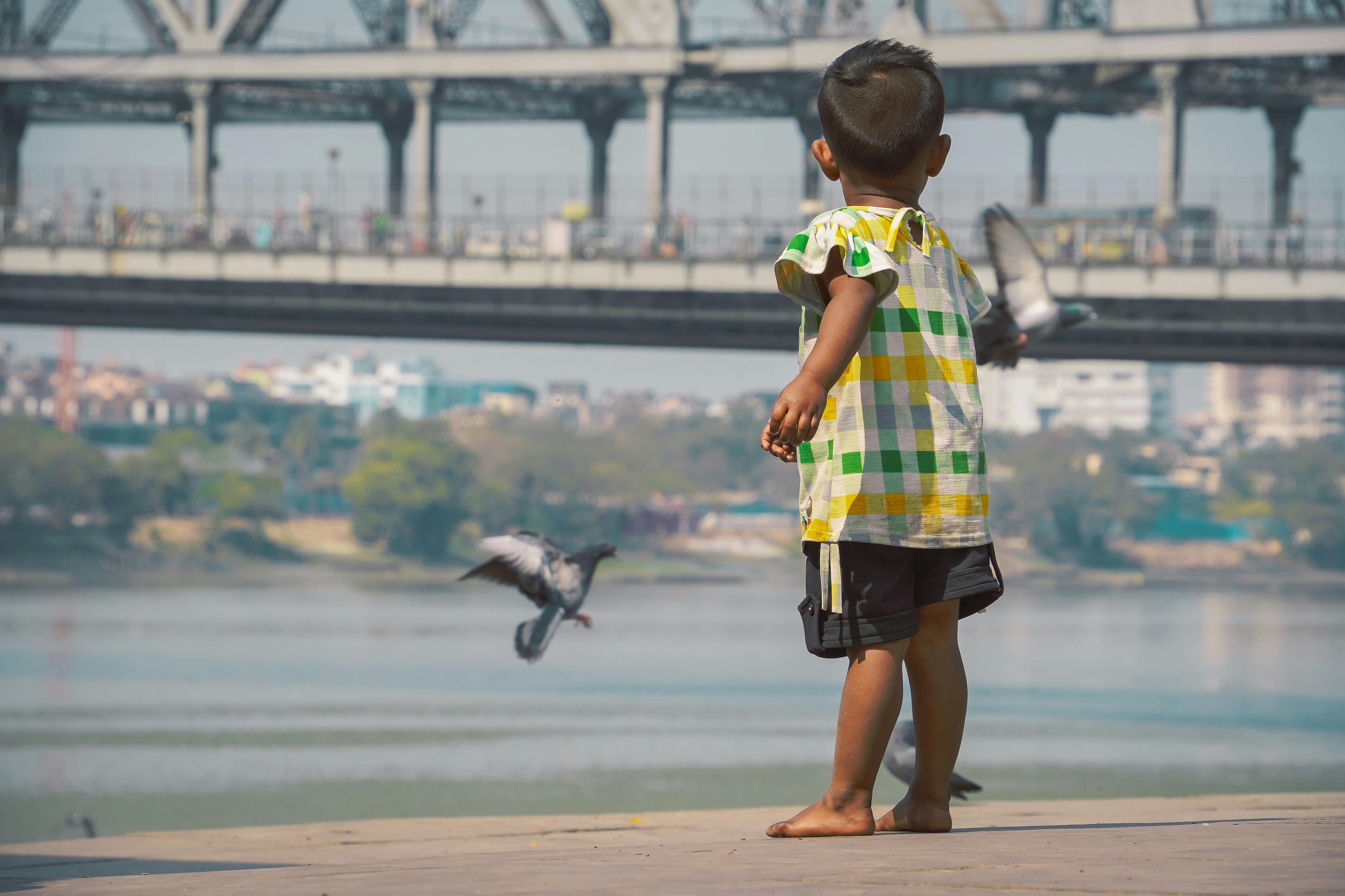 Gratis Un niño pequeño disfruta viendo palomas junto a un río pintoresco, con un puente emblemático de fondo. Foto de stock