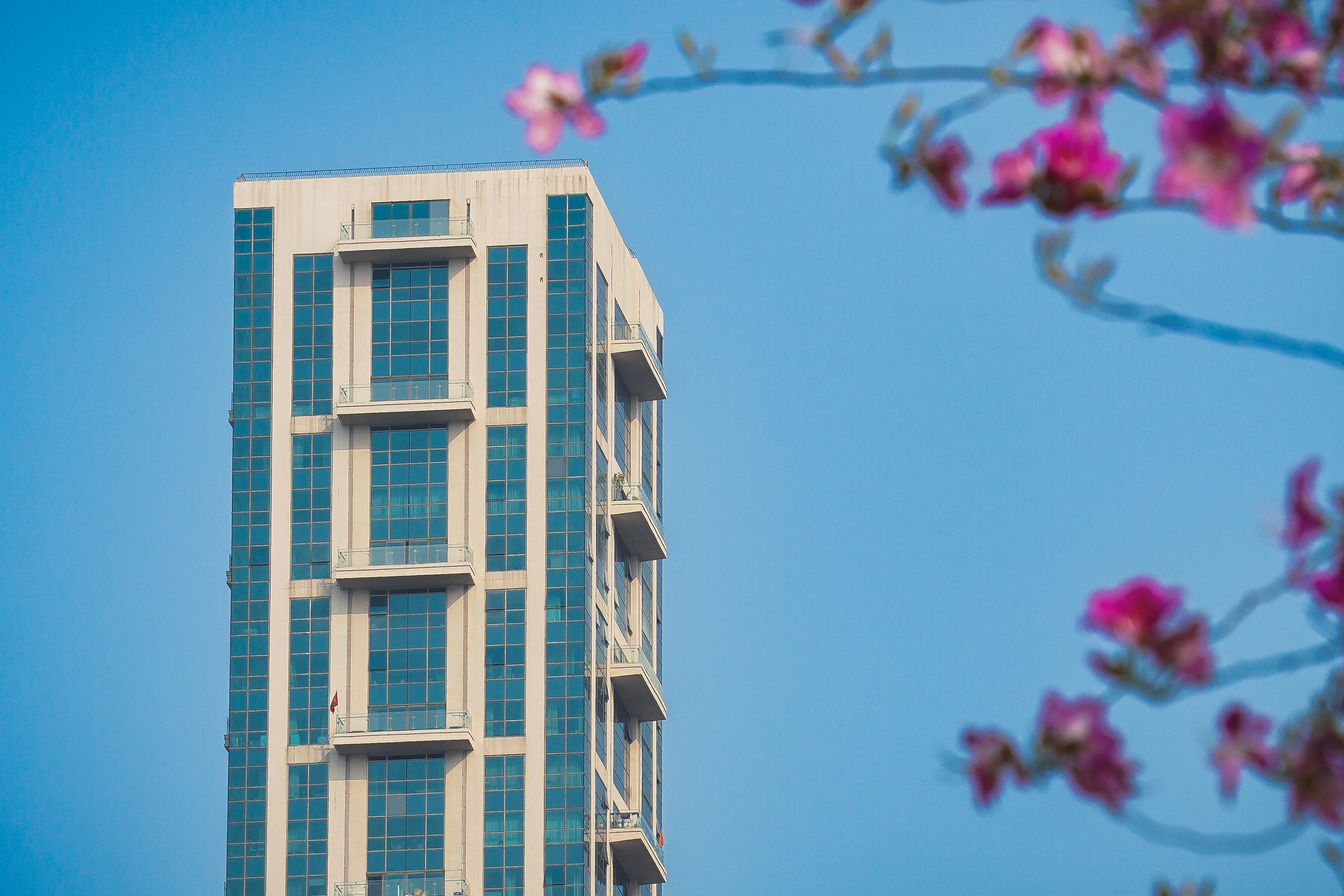 Gratis Un alto rascacielos moderno con ventanas de cristal junto a flores rosas en plena floración, bajo un cielo azul despejado en la India. Foto de stock