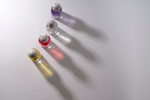 Free Four vibrant perfume bottles casting beautiful colored shadows on a white surface. Stock Photo
