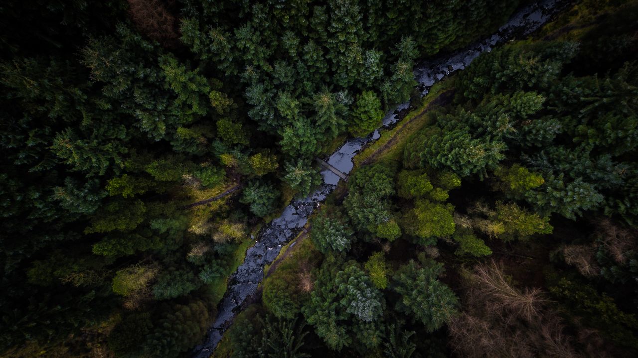 a stunning aerial view showcasing dense forest with a winding stream i