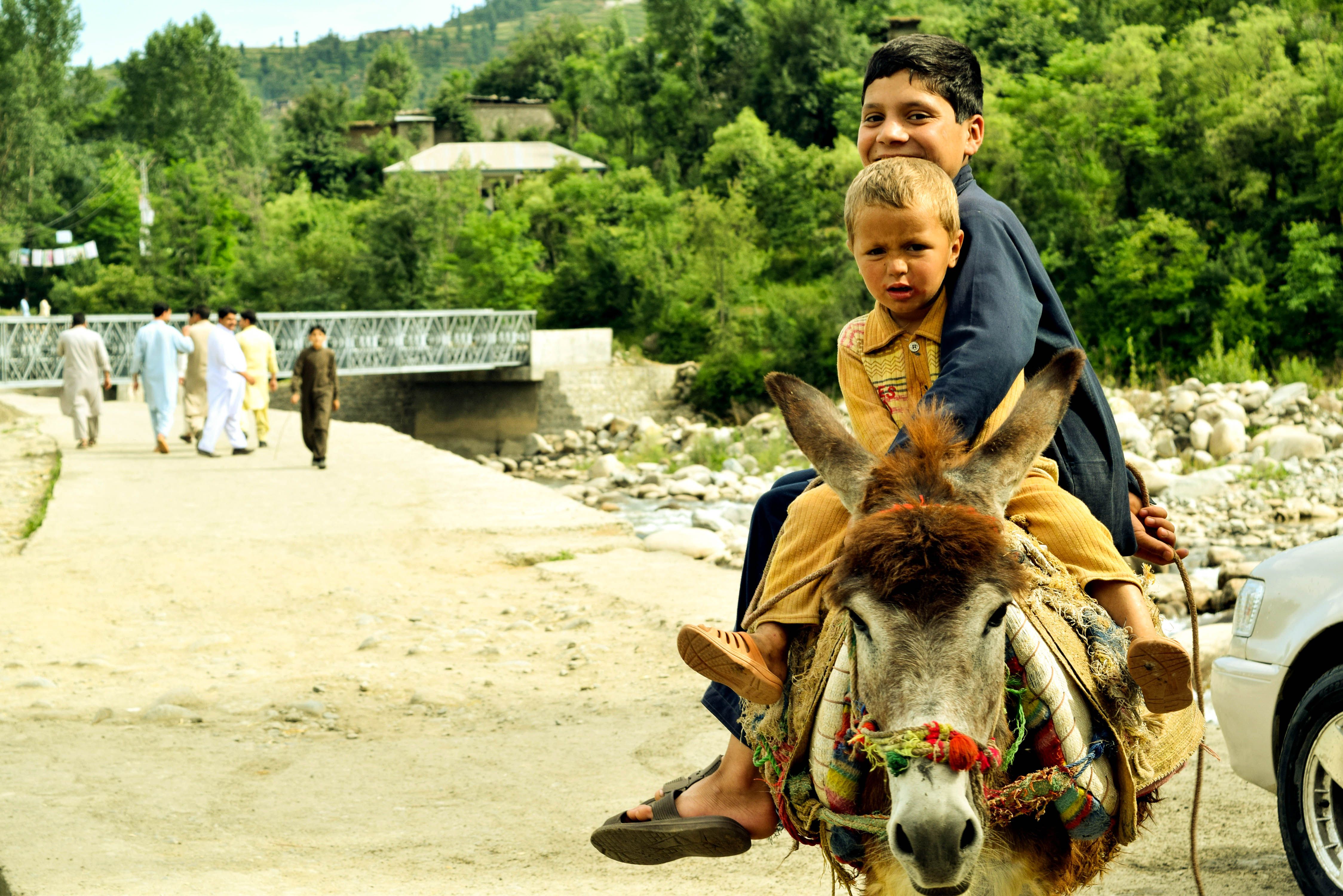 Children enjoying a donkey ride in scenic rural Pakistan, showcasing local culture and lifestyle.