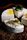 cheese