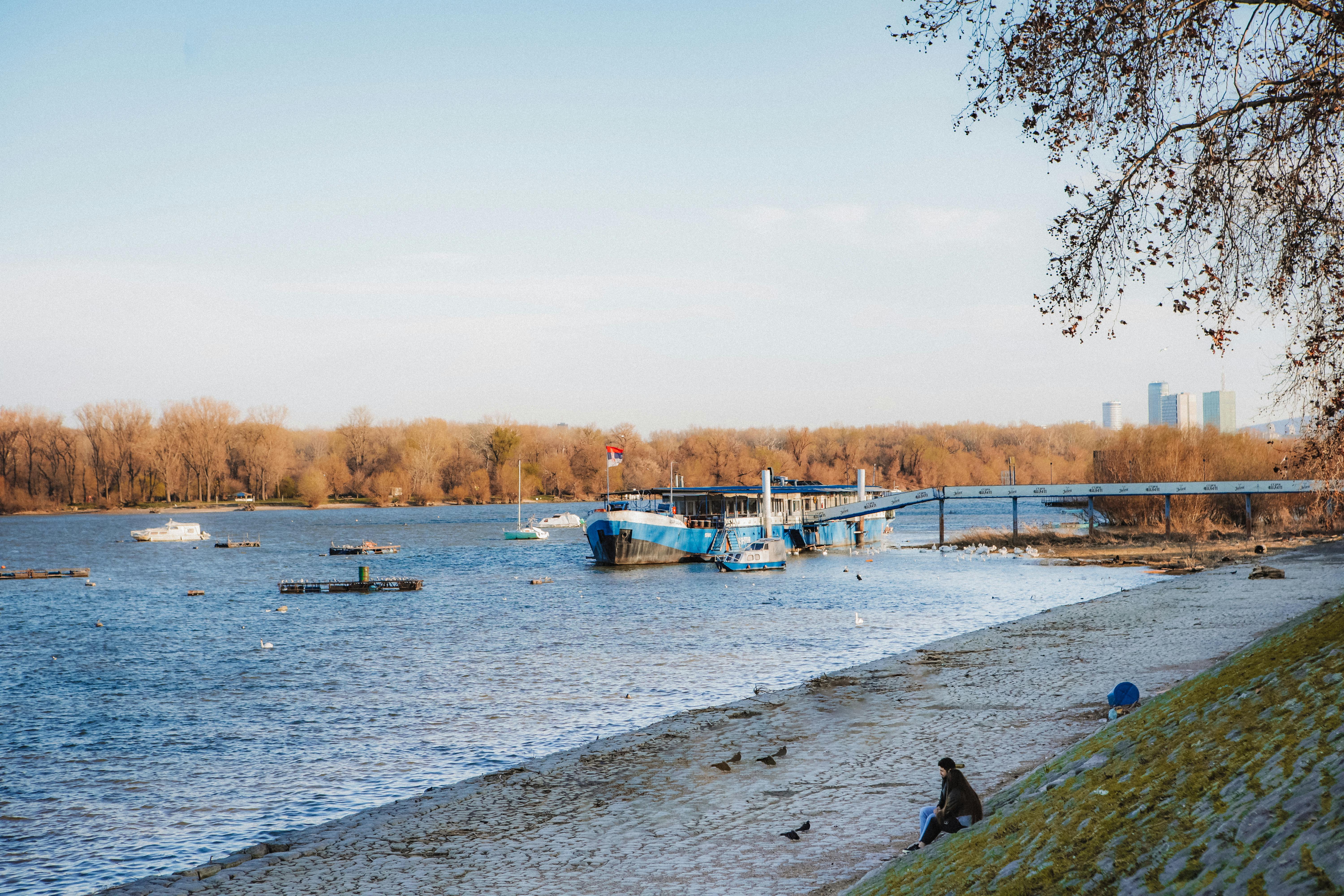 grátis Cena tranquila de um rio com um barco atracado e uma pessoa sentada na margem em Belgrado, Sérvia. Foto profissional