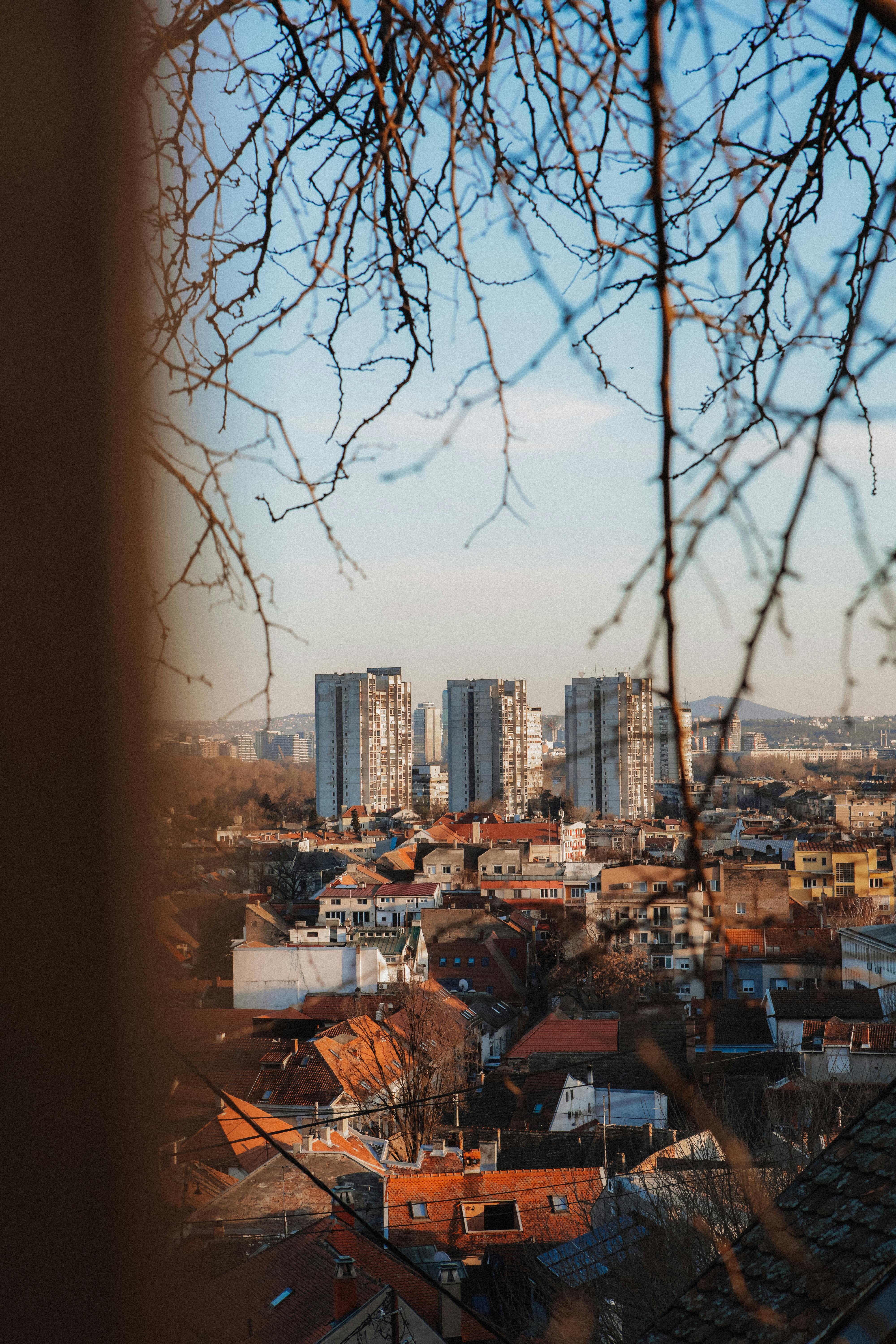 gratis Uitzicht op de skyline van Belgrado met hoge gebouwen en daken, omlijst door takken. Stockfoto