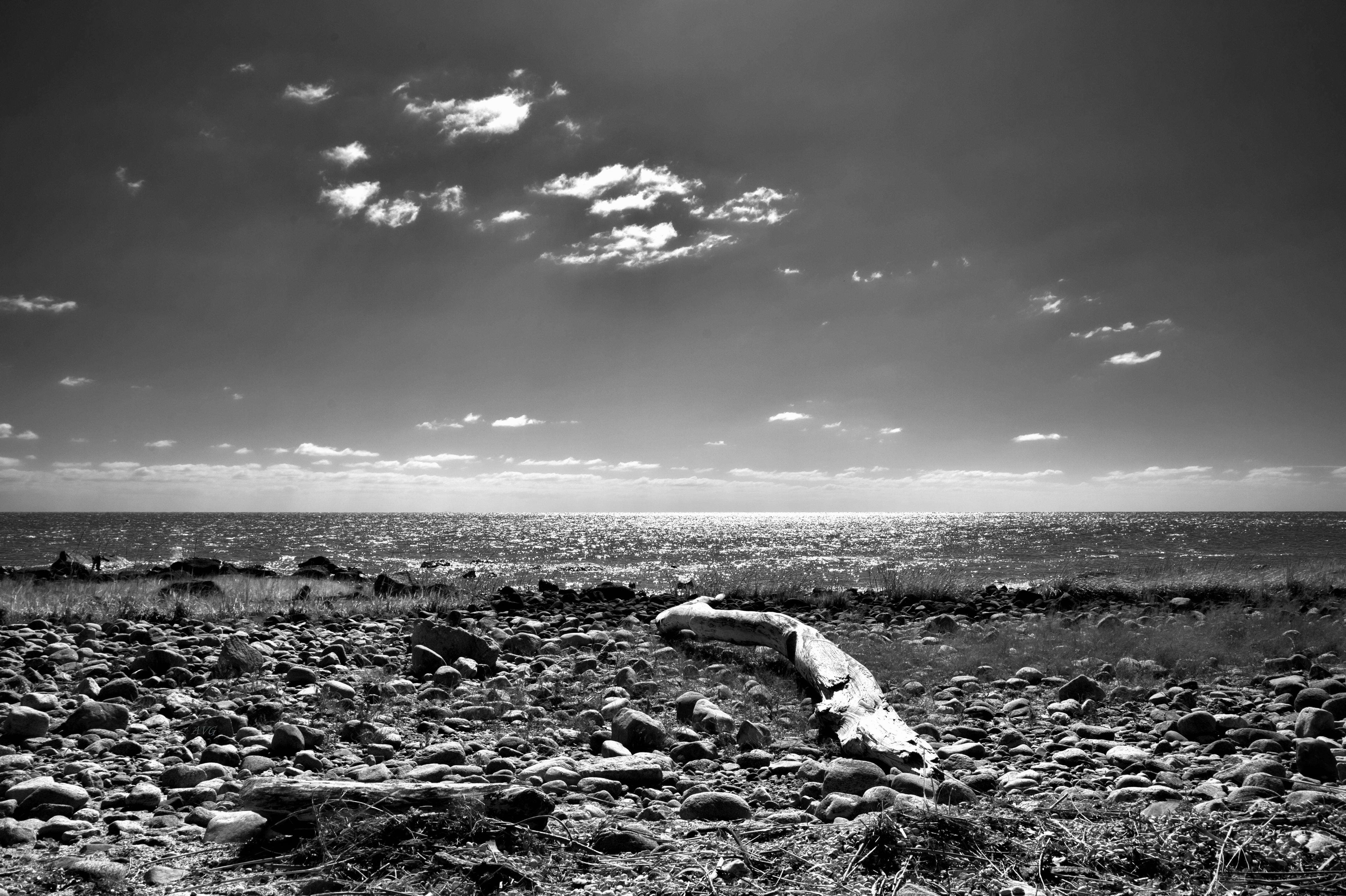 bezplatná Monochromatický pohled na skalnatou pláž a oceánský horizont pod jasnou oblohou. Základová fotografie