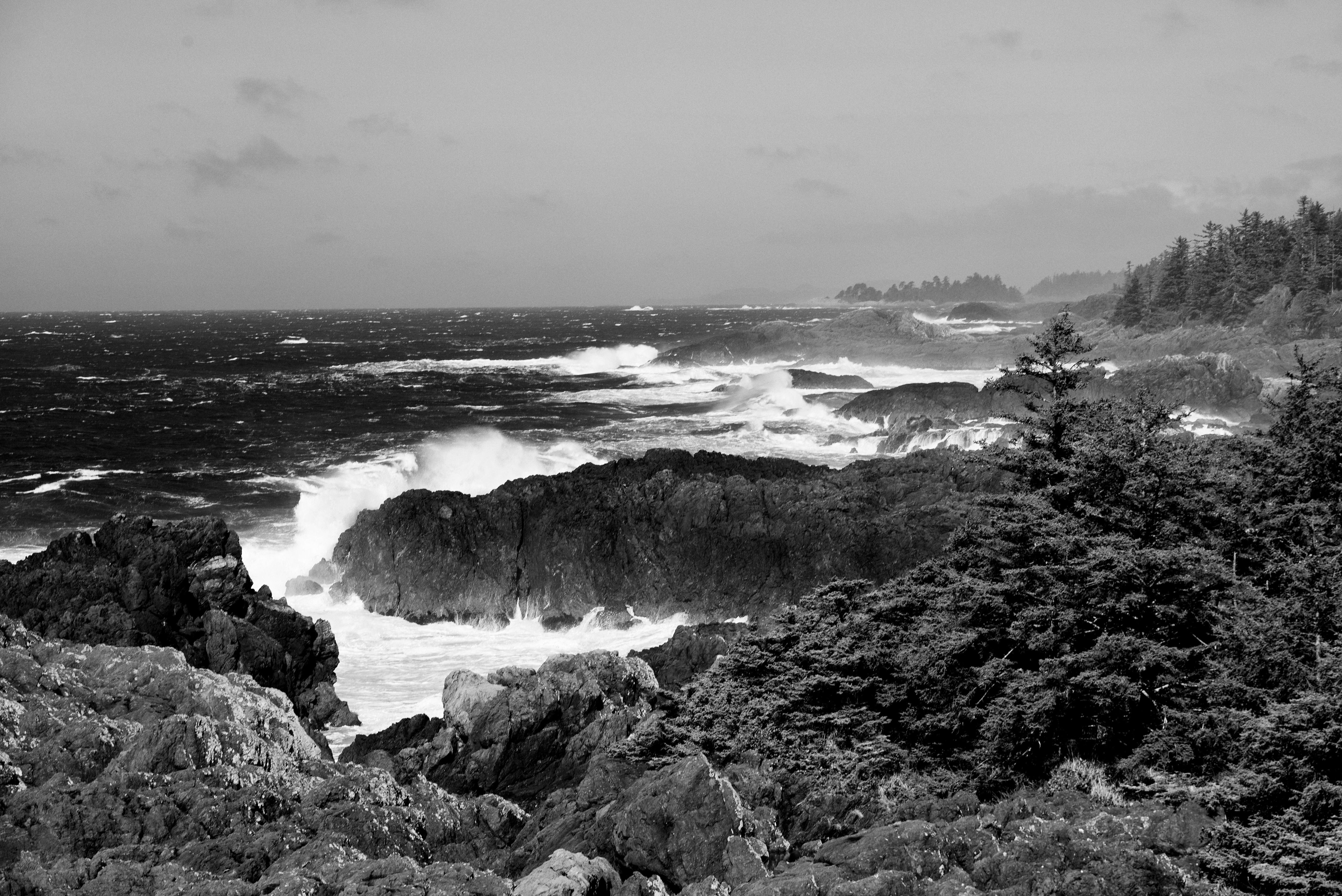 Dramatic Black and White Coastal Landscape · Free Stock Photo