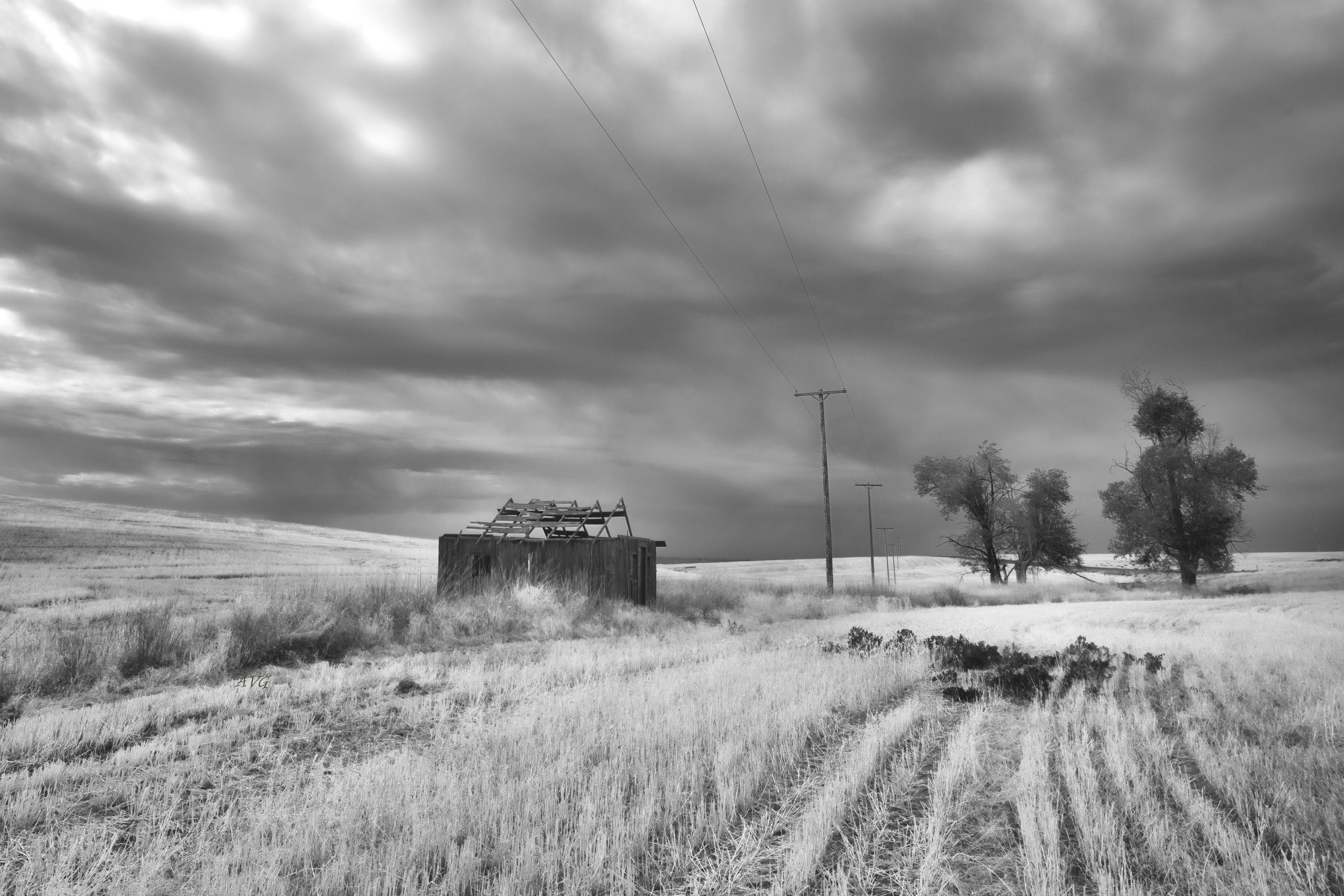 gratis Een sfeervol zwart-wit landschap met een verlaten schuur en een dramatische lucht. Stockfoto