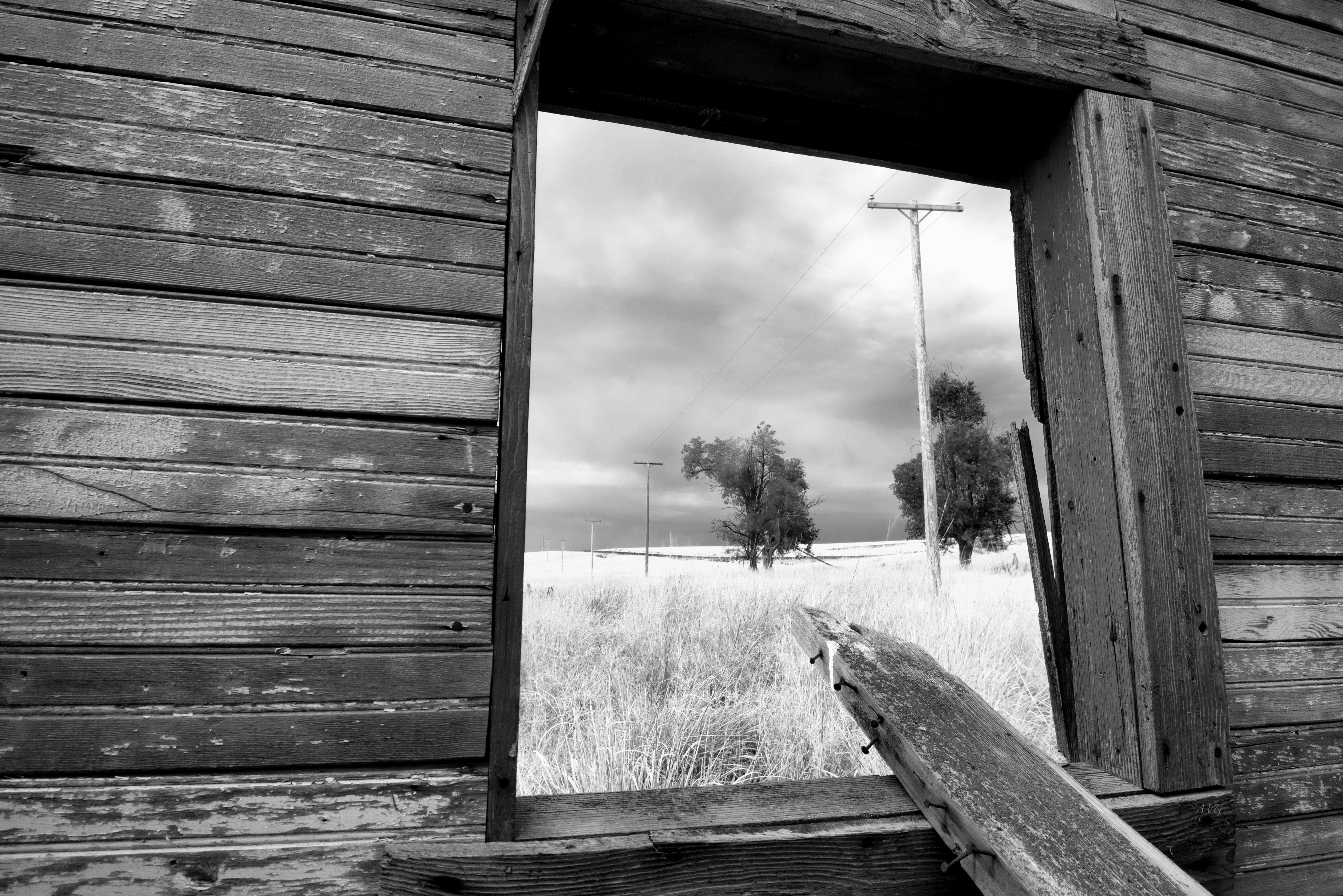 Gratis Svart-hvitt-bilde av landlig landskap gjennom et vindu i en forlatt trebygning. Arkivbilde
