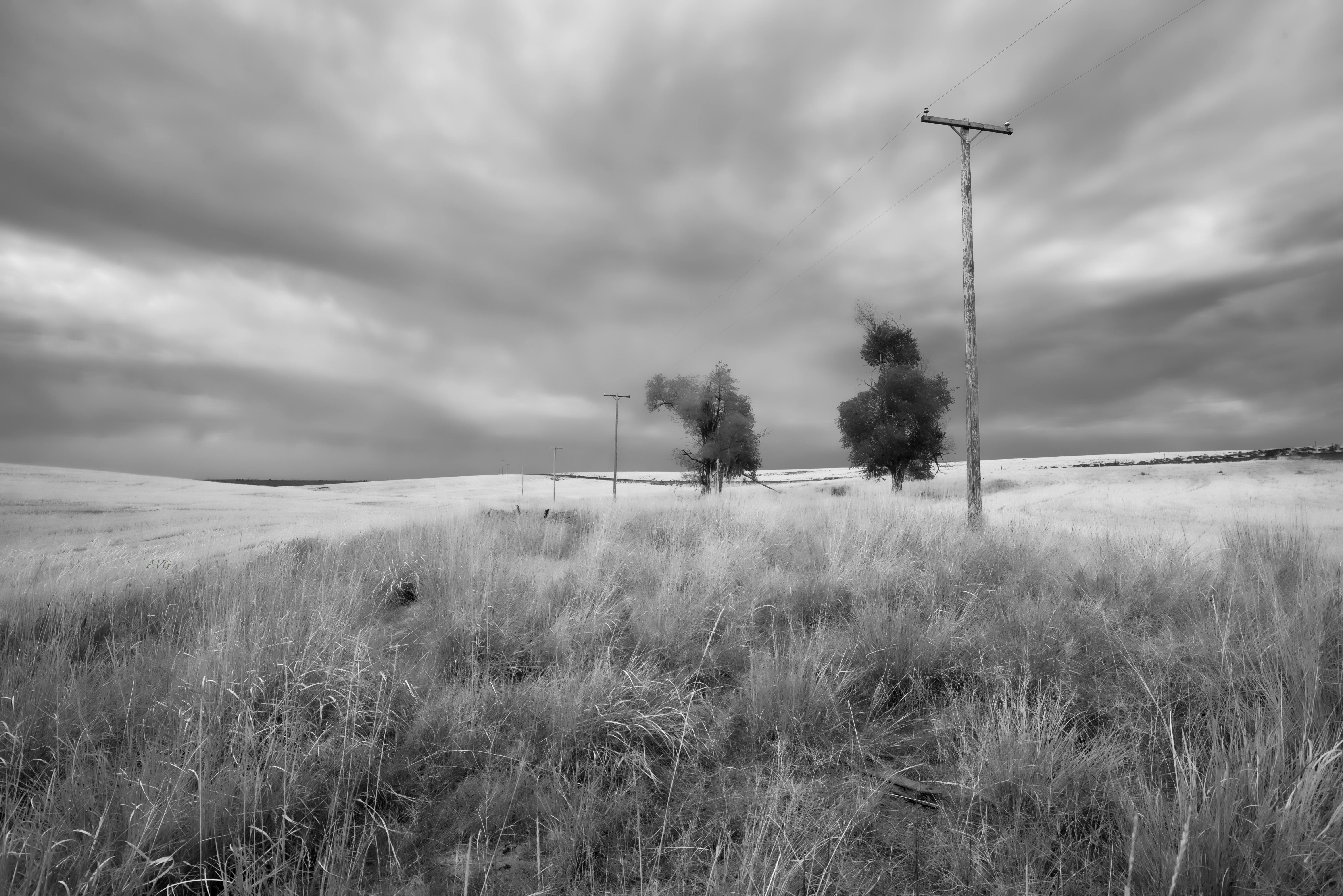 Gratuit Peisaj rural mohorât, alb-negru, cu linii electrice și cer înnorat. Fotografie de stoc