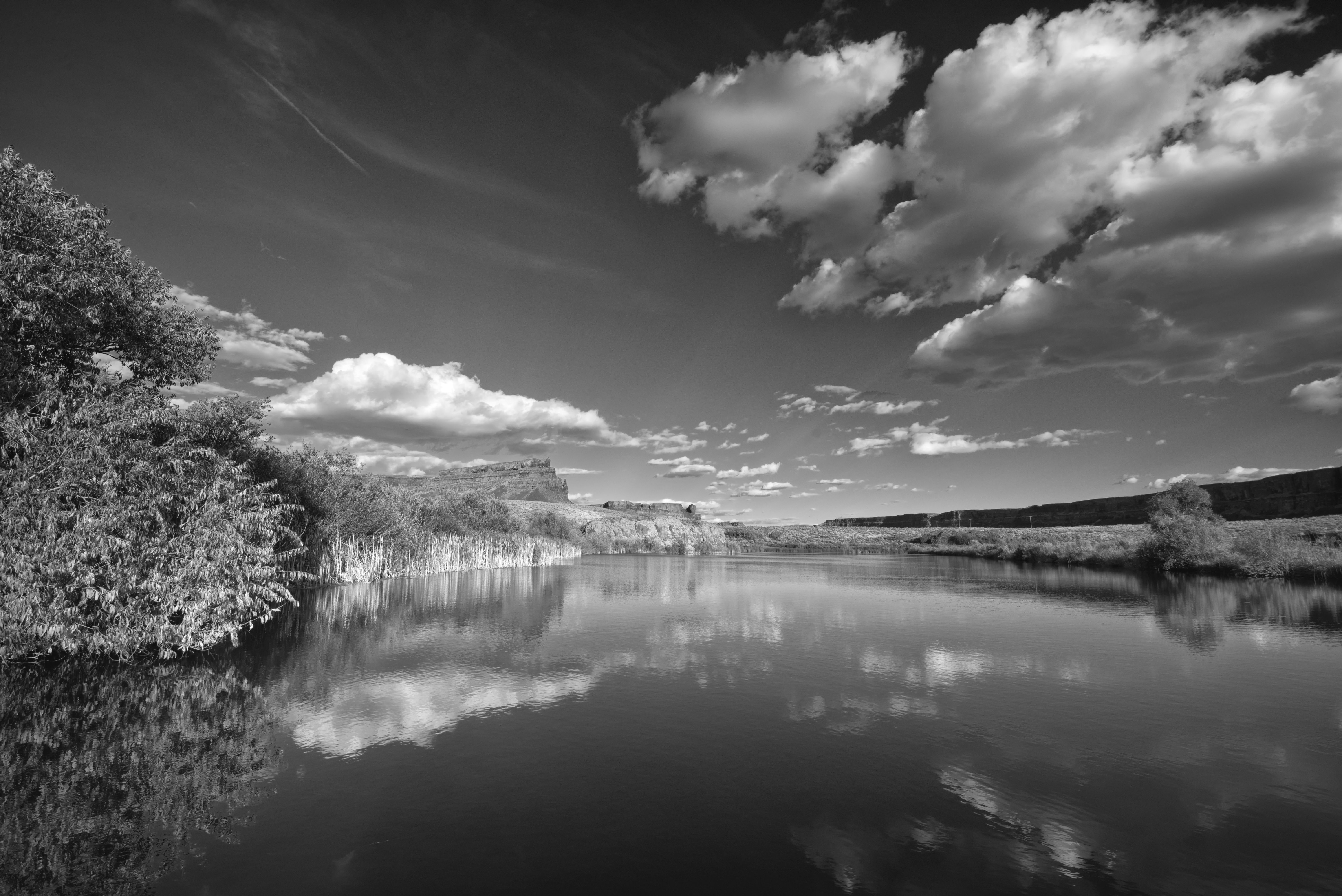 Serene Black and White Landscape with Reflections · Free Stock Photo
