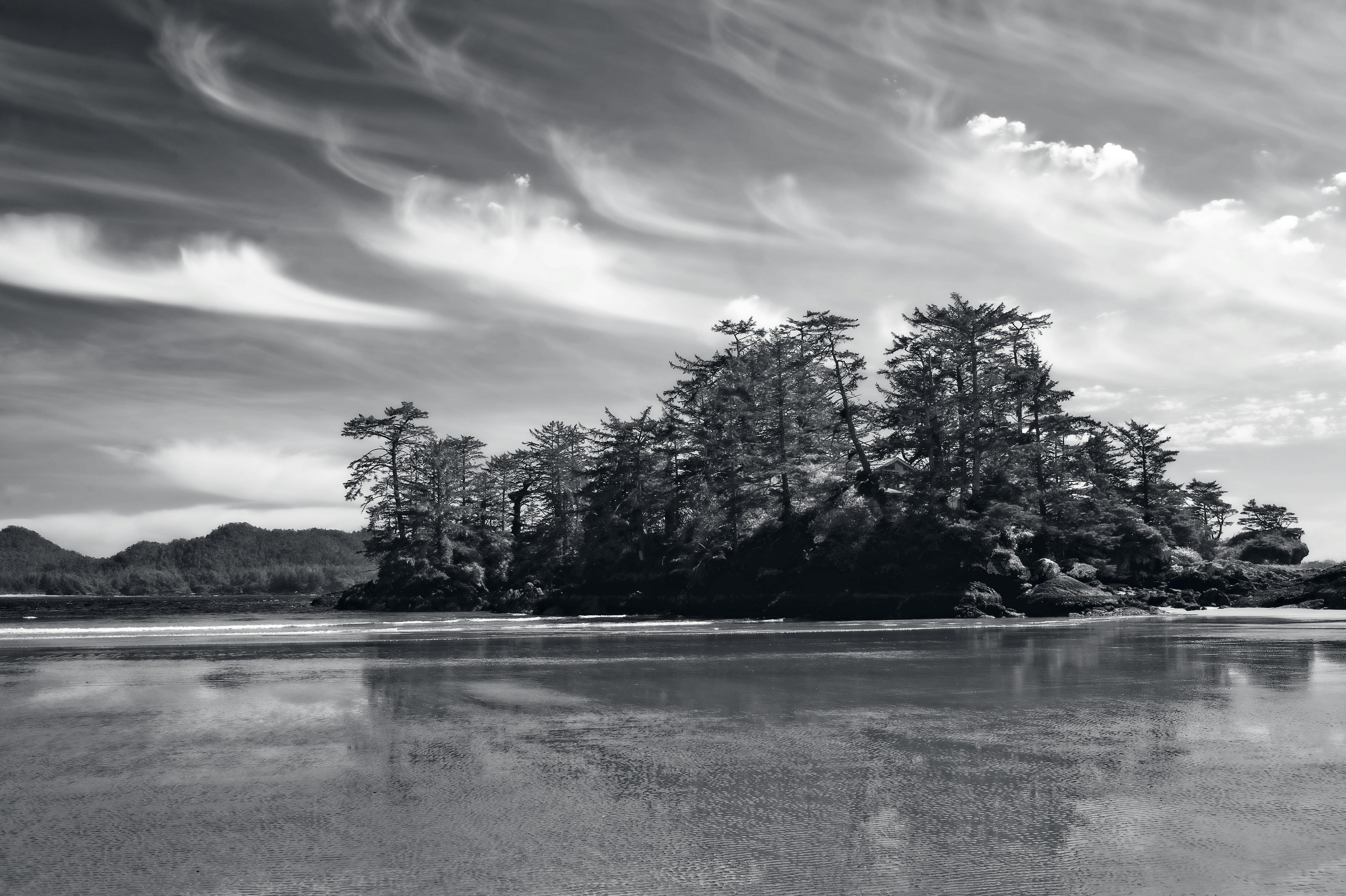 免费 单色海岸景色，云朵和树木倒映在水中。 素材图片