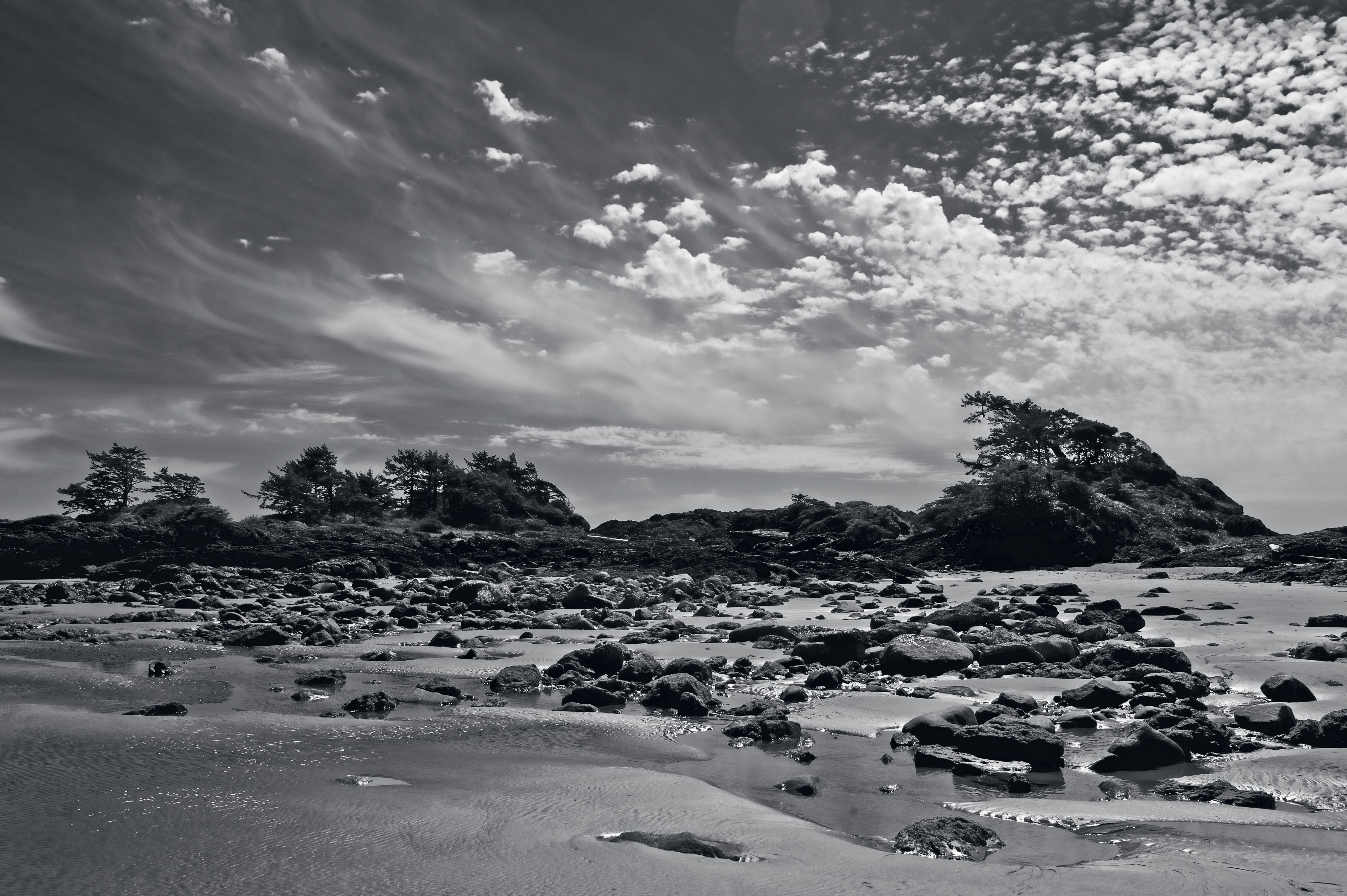 Dramatic Black and White Coastal Landscape · Free Stock Photo