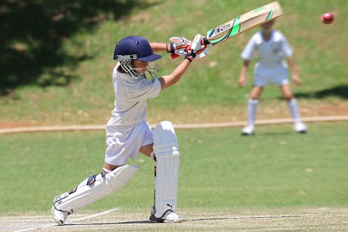 Cricket Photos, Download The BEST Free Cricket Stock Photos & HD Images