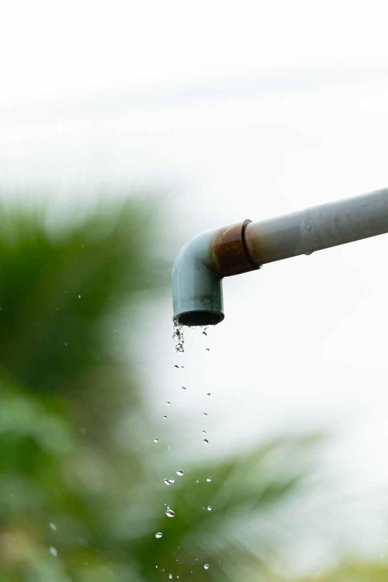 A close-up of water droplets falling from a rusty outdoor pipe against a blurred natural background.