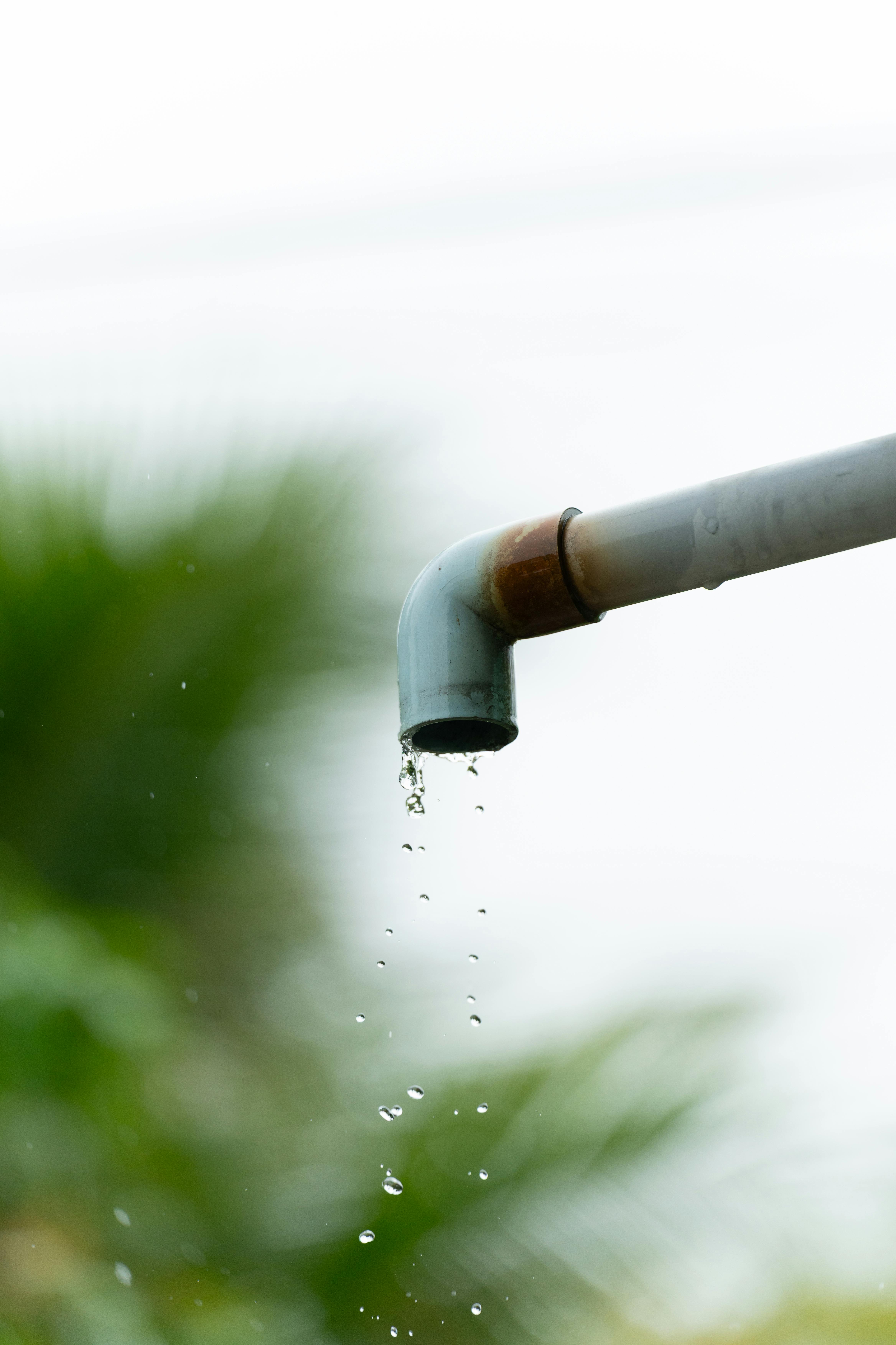 bezplatná Detailní záběr kapek vody padajících z rezavého venkovního potrubí na rozmazaném přírodním pozadí. Základová fotografie