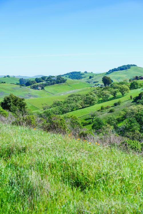 Free Vibrant green hills under clear blue sky, showcasing spring's beauty. Stock Photo