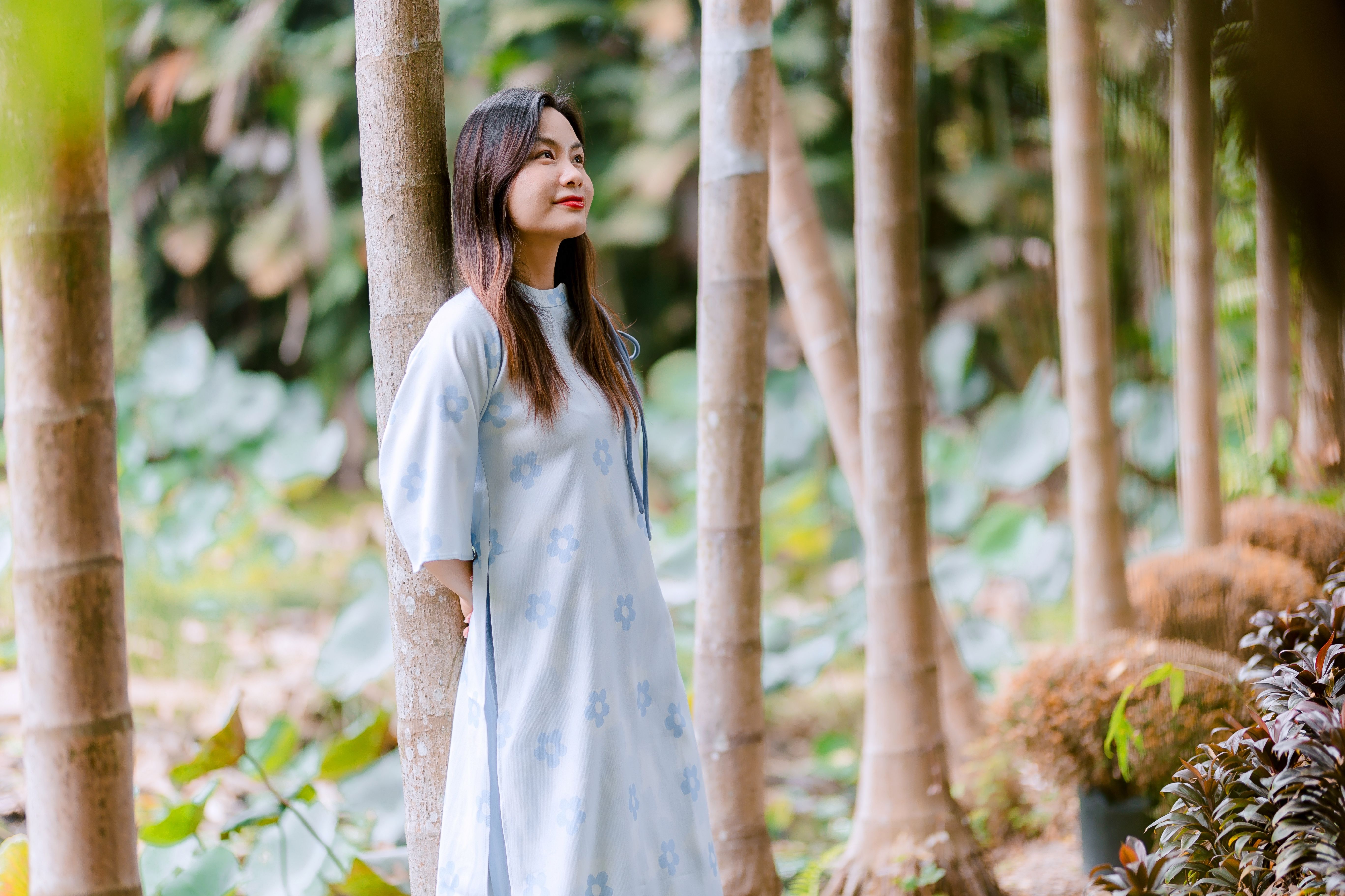 Woman in Traditional Dress Amongst Trees · Free Stock Photo