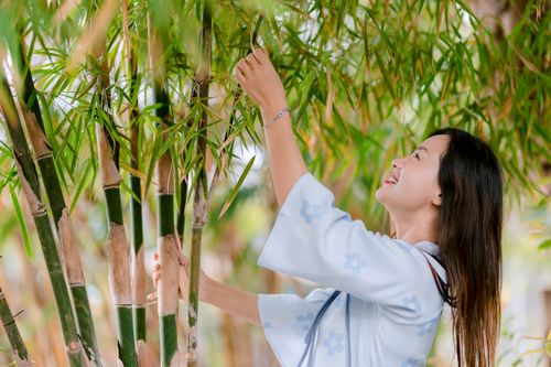 Free Smiling woman in traditional dress enjoying bamboo leaves in a lush grove. Stock Photo