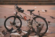 Bicycle with Pigeons in Urban Park Setting
