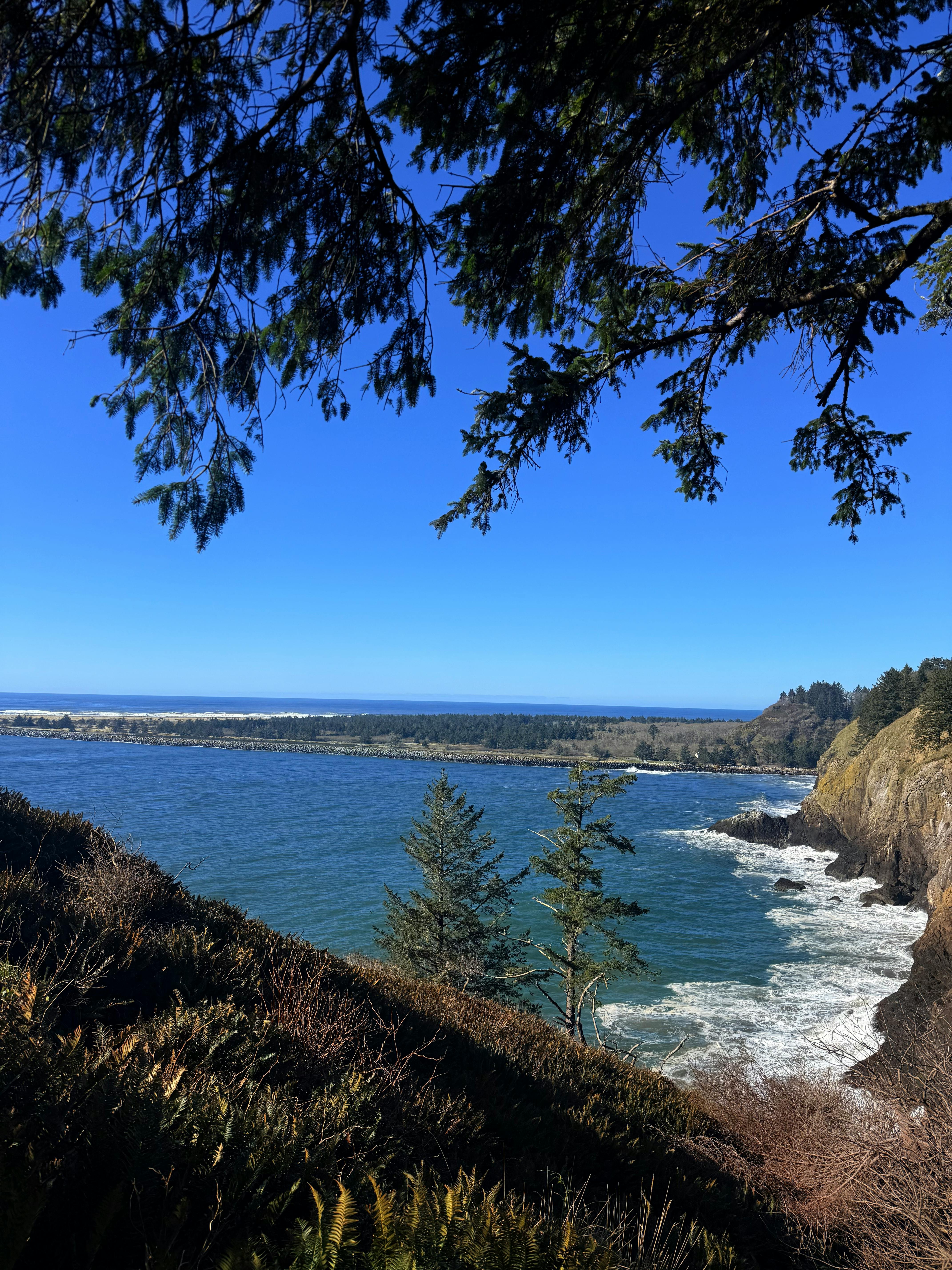 Coastal Washington campsite with evergreen trees and a cloudy spring sky