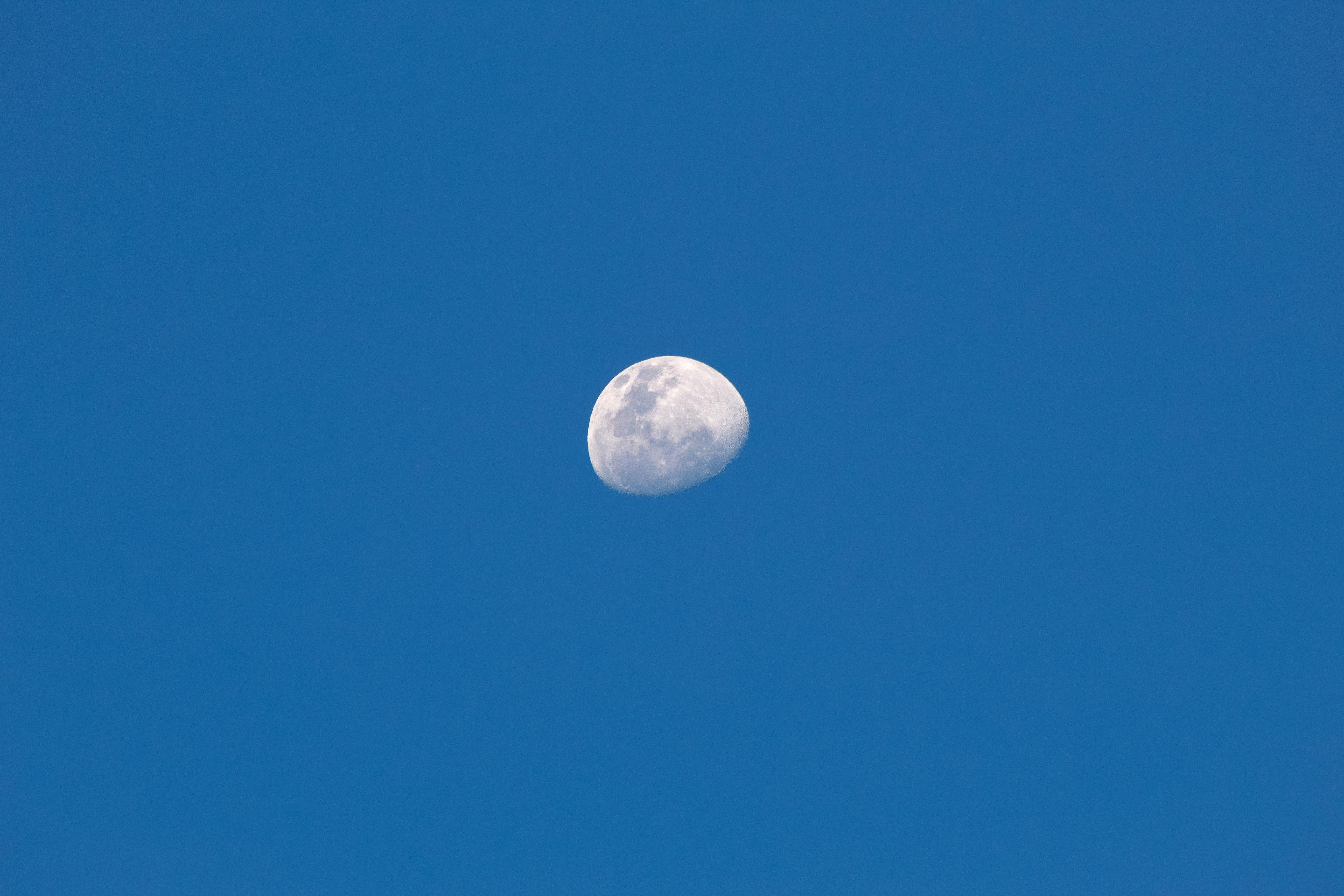 Zadarmo Polmesiac zachytený na pozadí jasnej modrej oblohy, ktorý ukazuje krásu nášho prirodzeného satelitu. Fotka z fotobanky