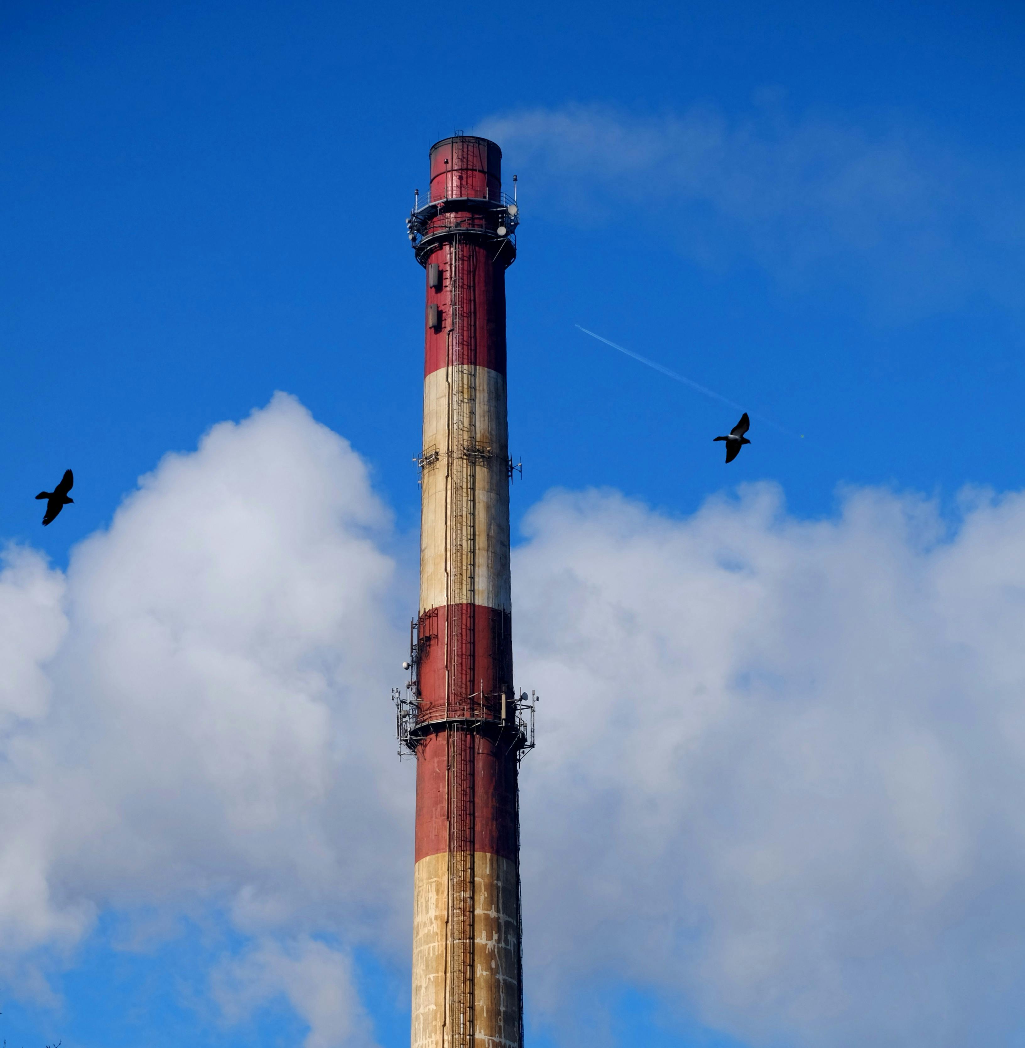 Gratis Høj industriel skorsten med fugle der flyver mod en klar blå himmel og skyer. Lagerfoto